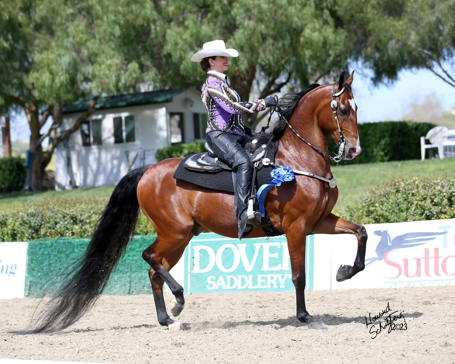 saddle seat western in the Los Angeles.jpeg