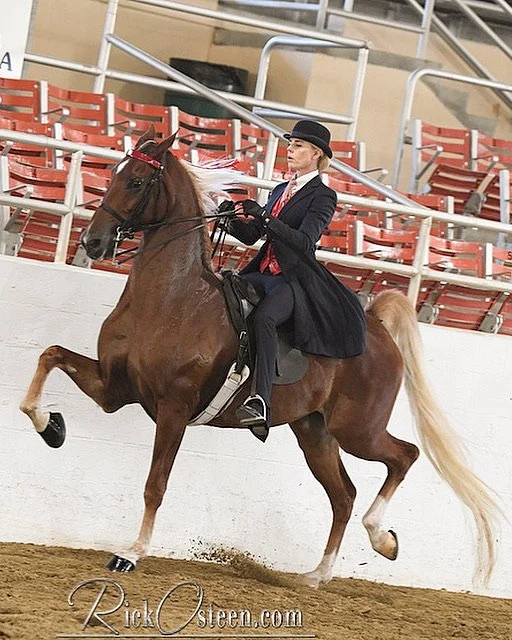 SaddleSeatGoldenGlenStablesHorseRidingLosAngeles.png