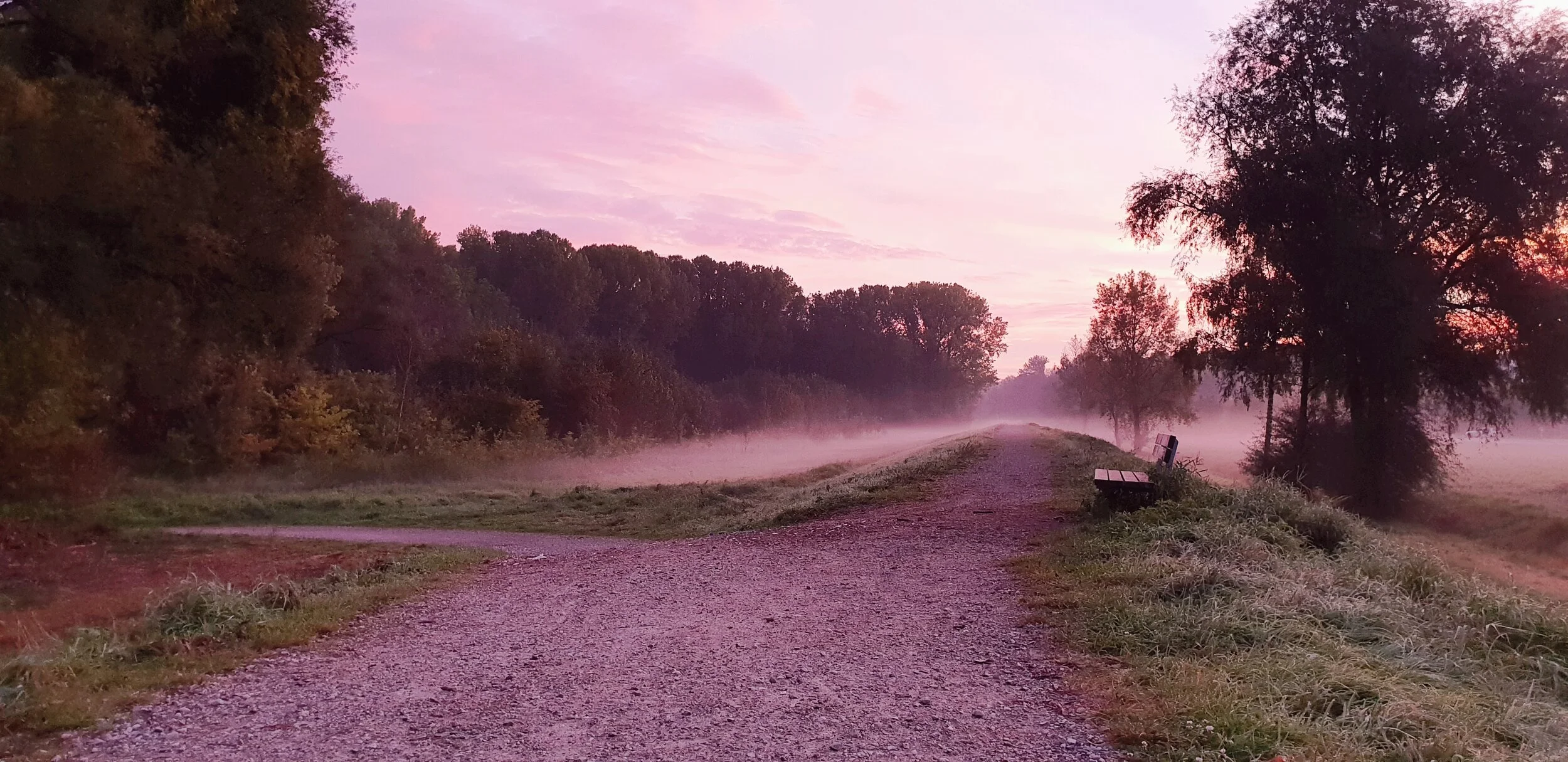 Warum wir heute nach Mustern handeln, die nie bewusst gewählt wurden