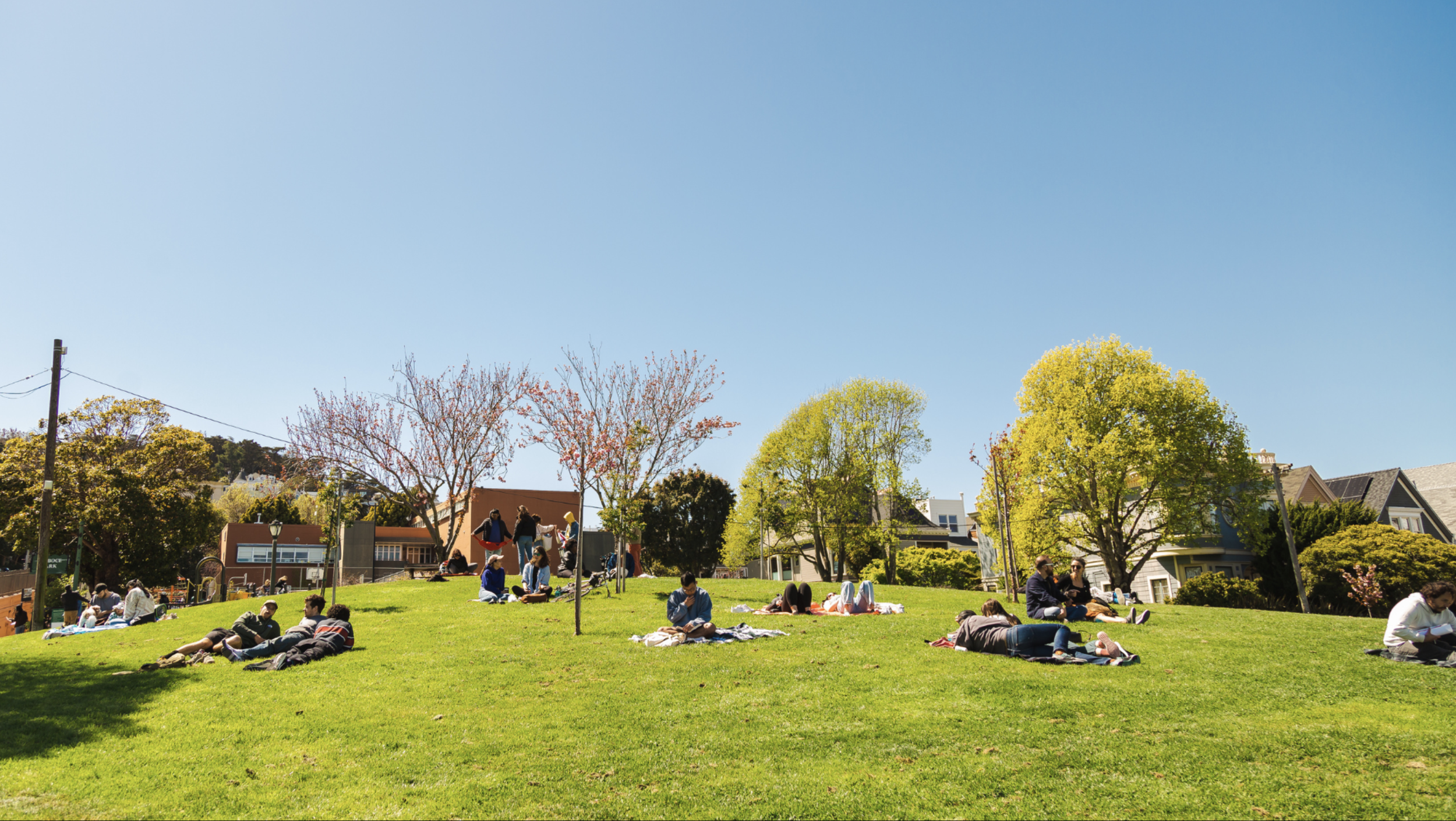Duboce Park Volunteer Workparty