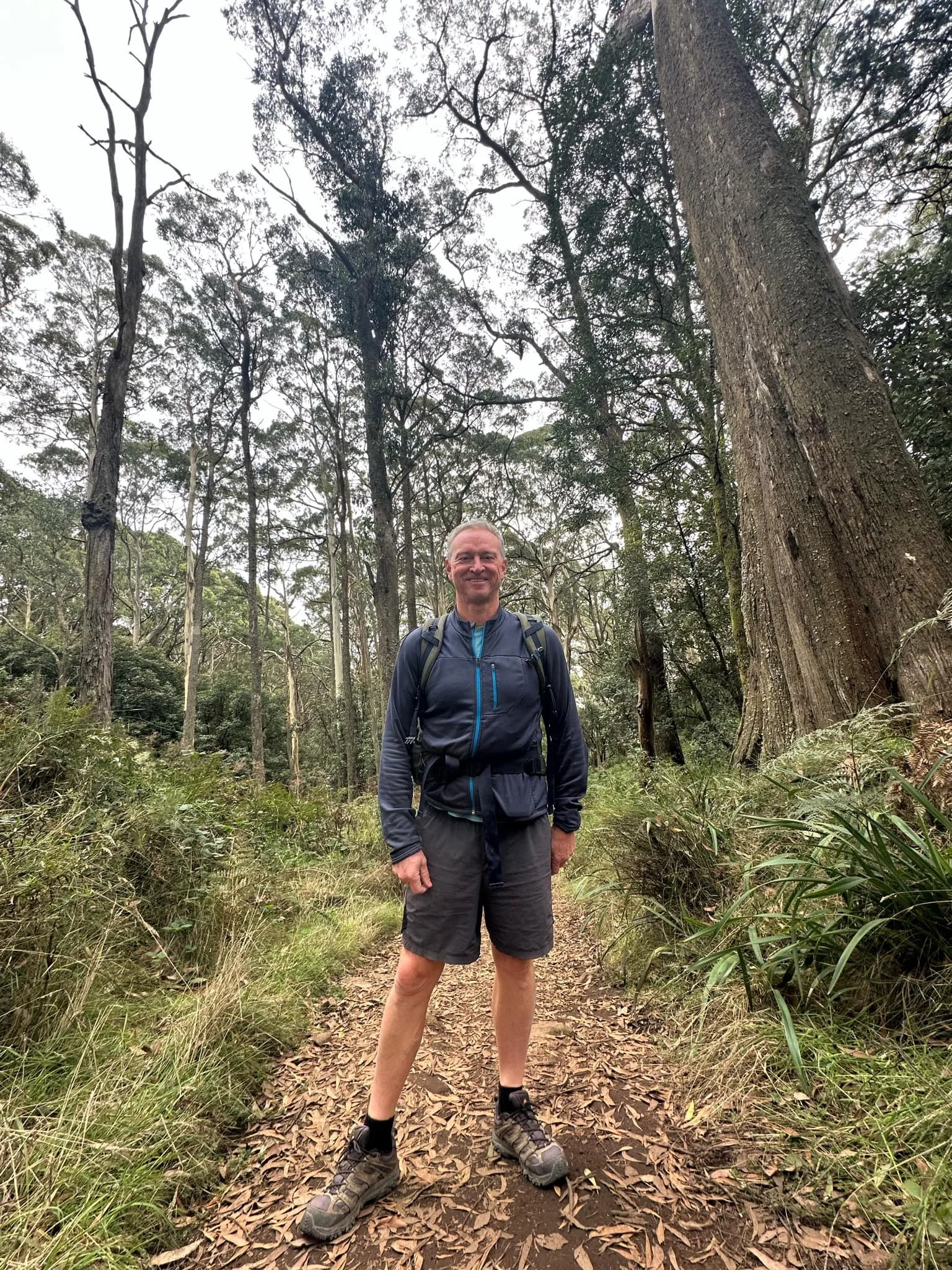 Person standing on a forest trail, surrounded by tall trees and lush greenery.
