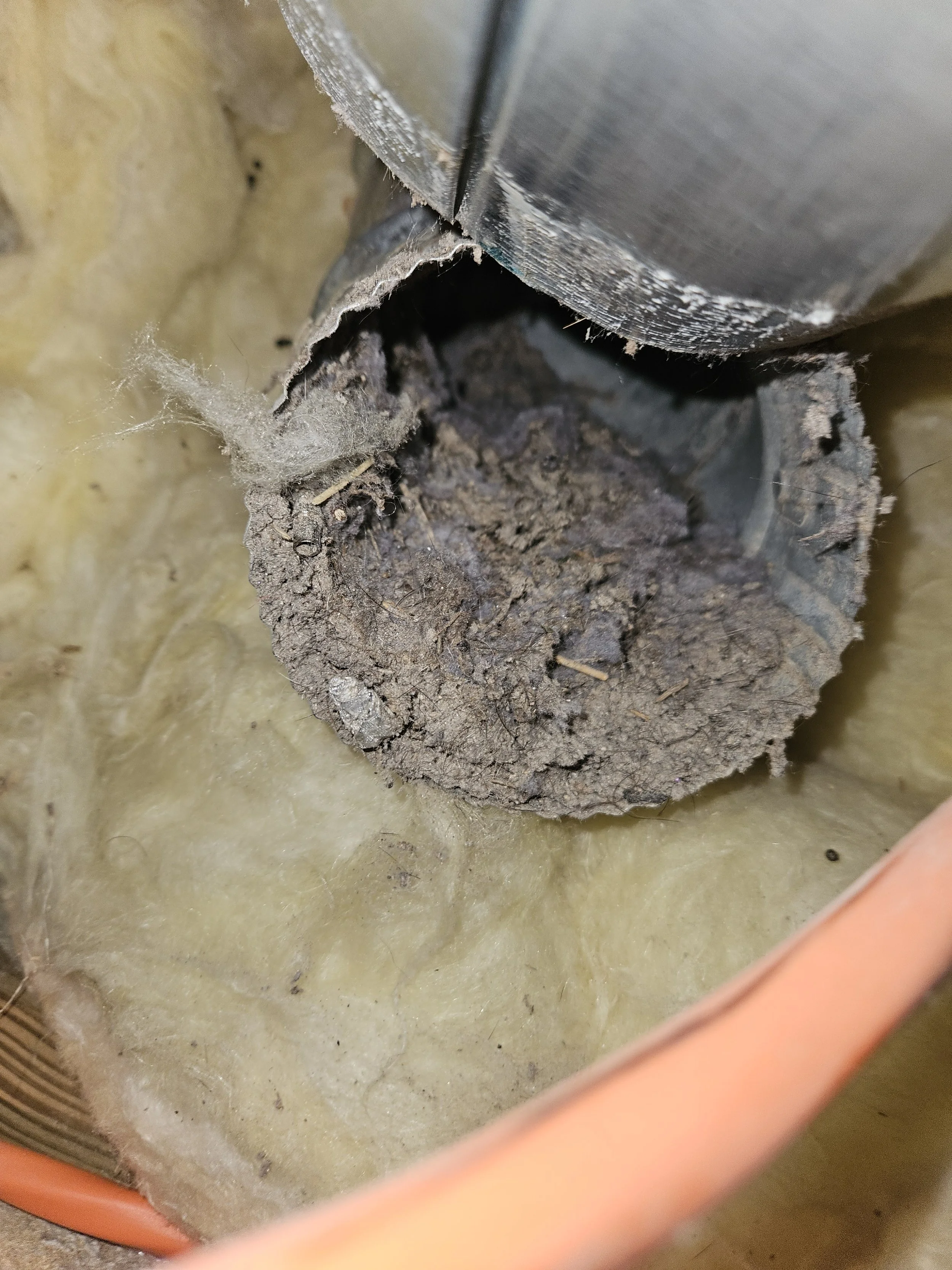 Close-up view of a vertical pipe in a wall with insulation and debris inside, possibly part of an HVAC system or plumbing.