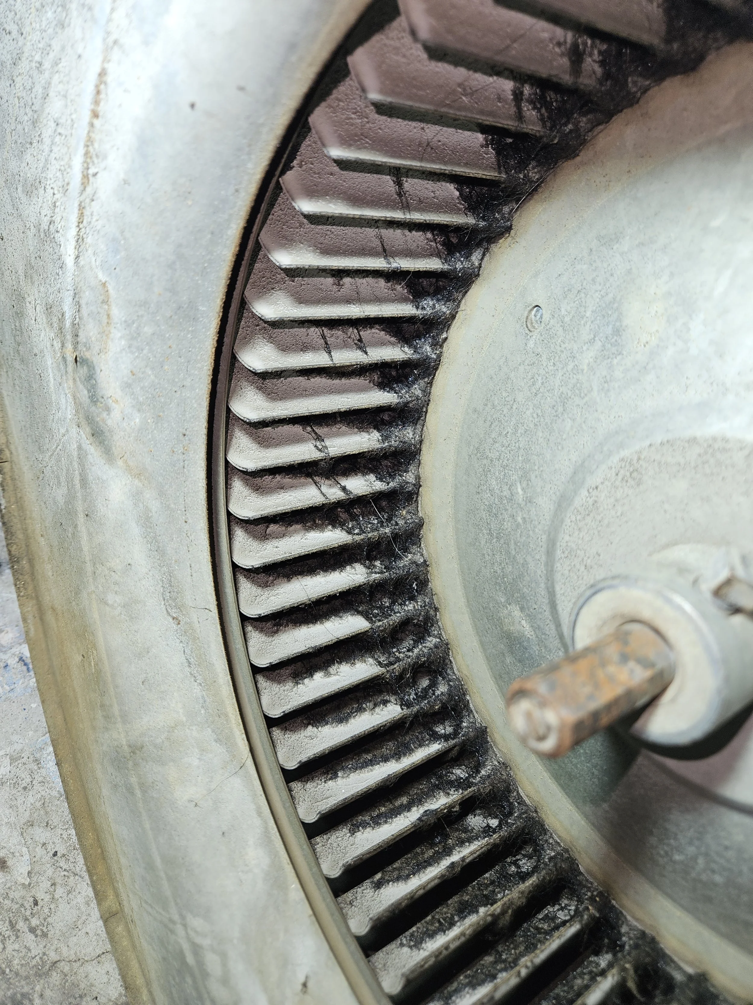 Close-up view of a large industrial gear with black grime and slight rust on the shaft.