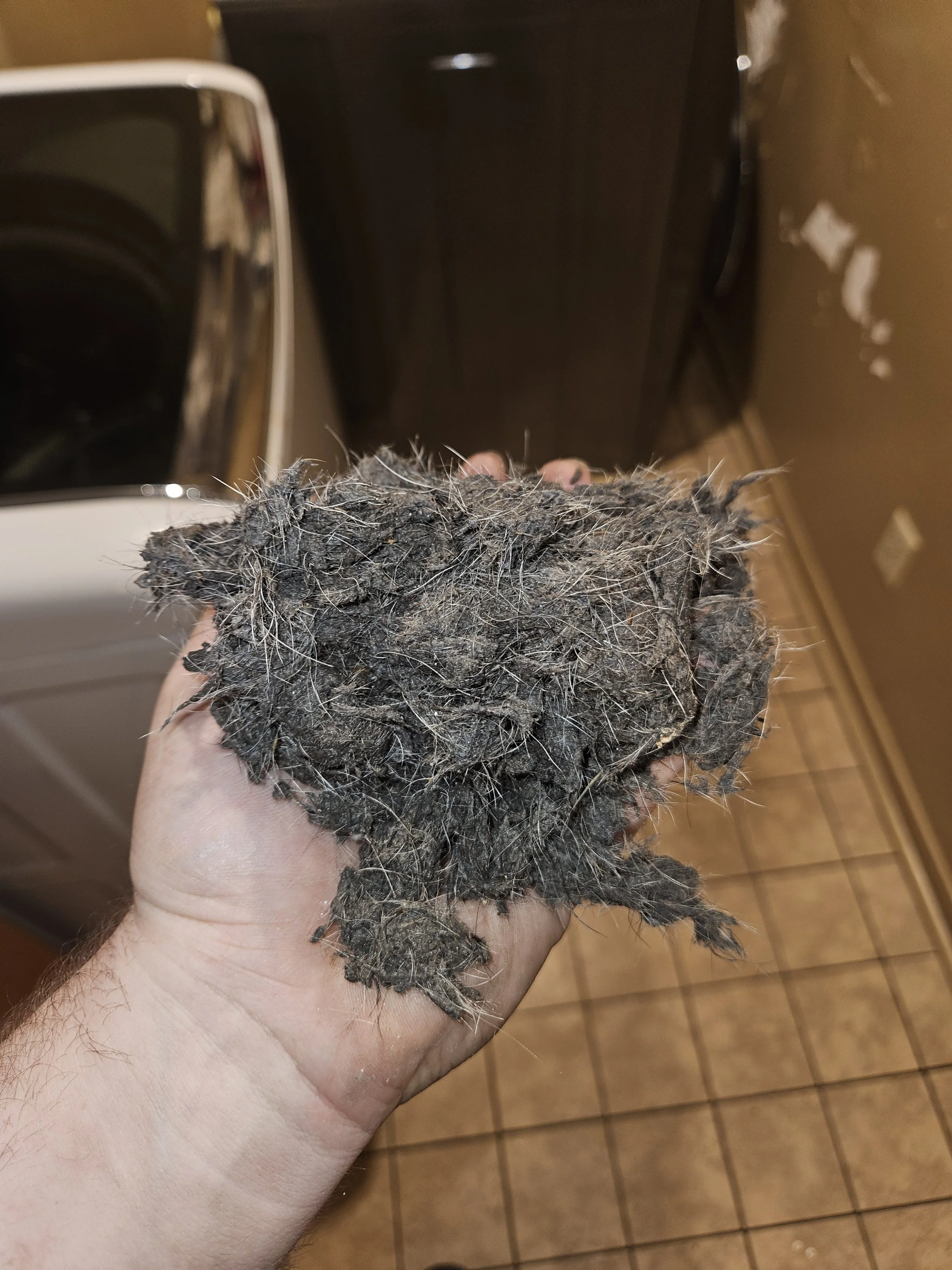 A hand holding a clump of matted, dirty, and tangled pet fur or hair in a kitchen with tile flooring and appliances in the background.