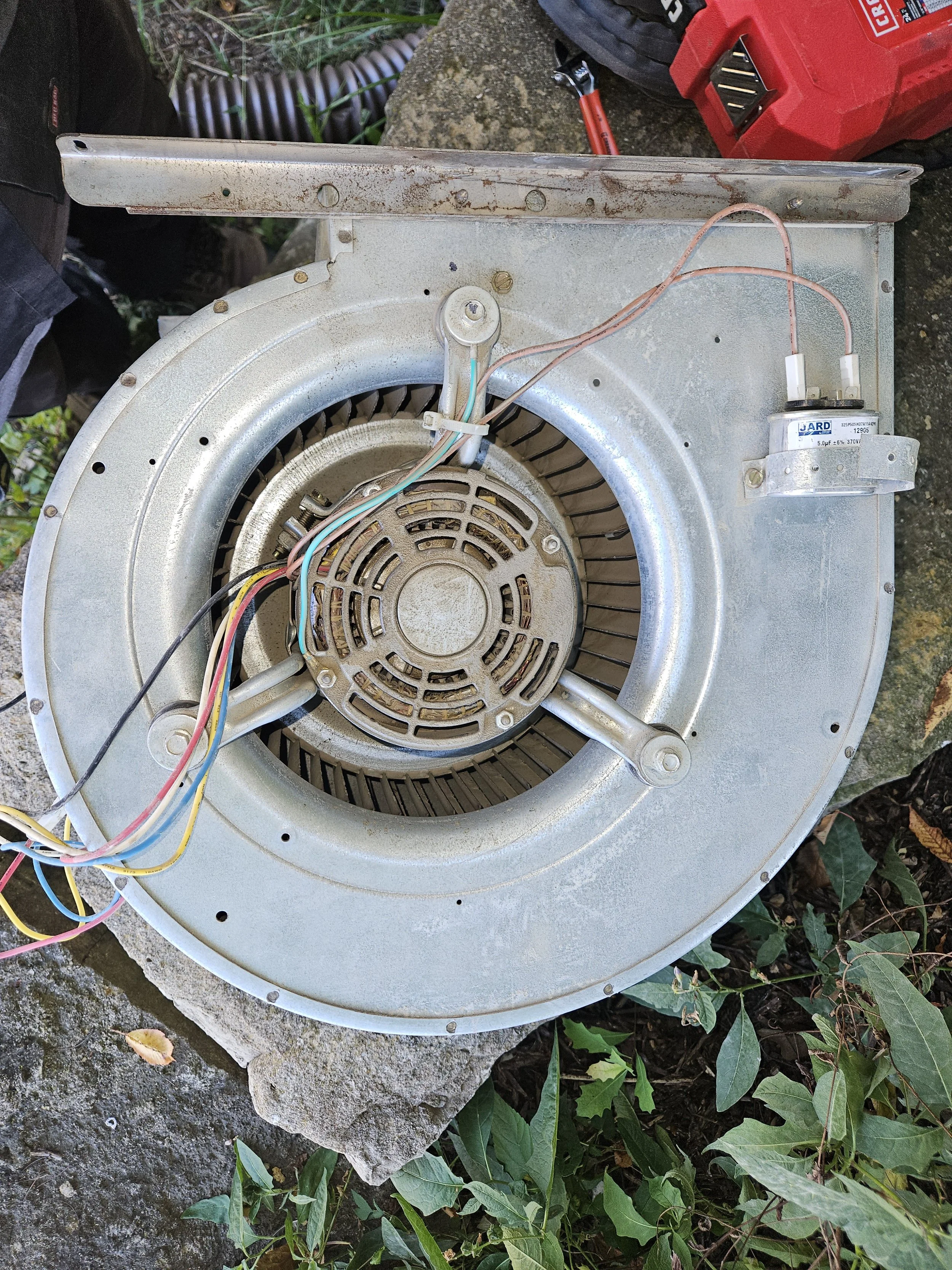 Disassembled ceiling fan motor with wiring, mounted on a stone surface outdoors surrounded by foliage, next to a red toolbox.