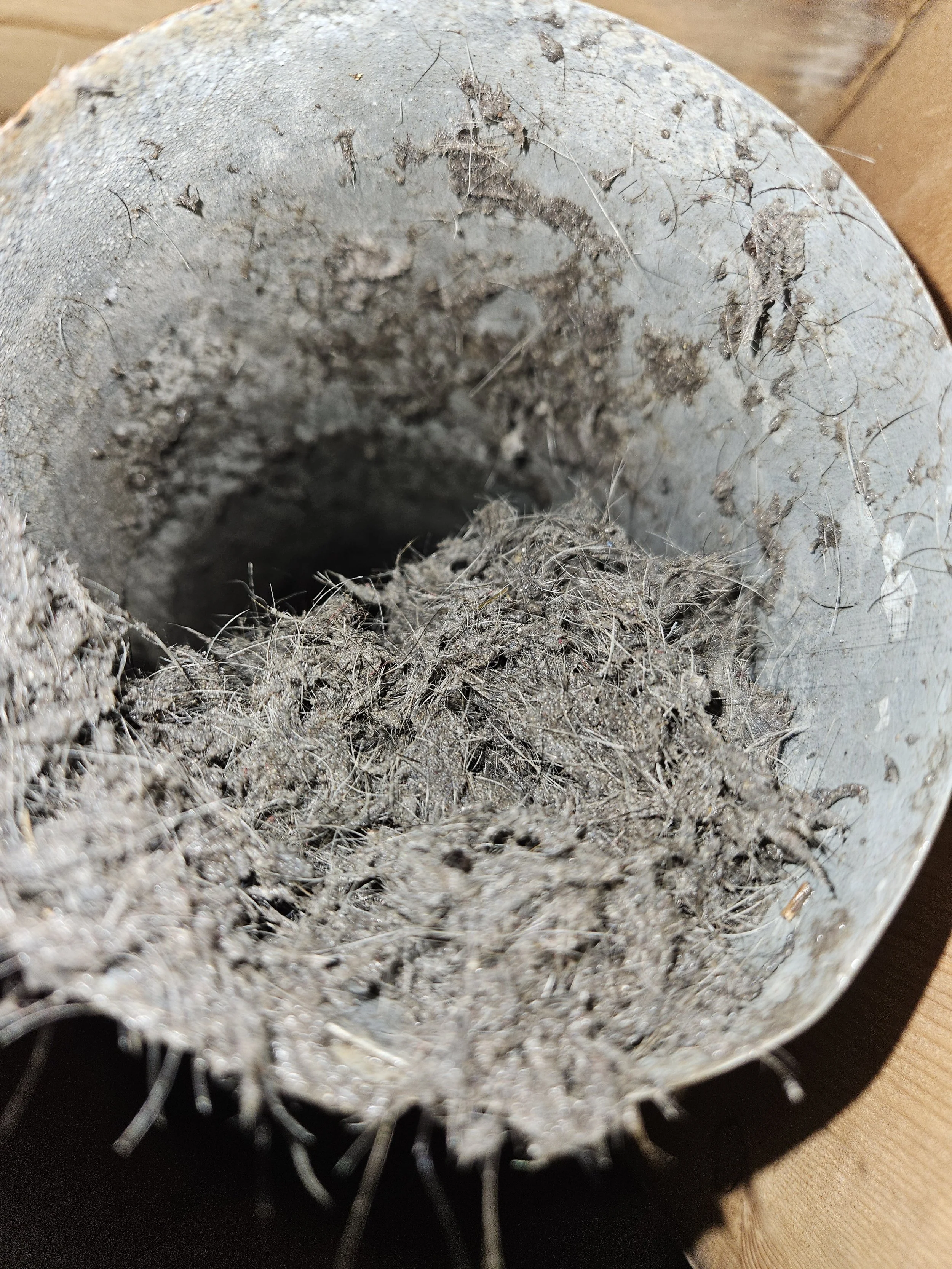 Close-up of a dusty, dirty metal pipe or cylinder filled with a pile of dried dirt, dust, and hair.