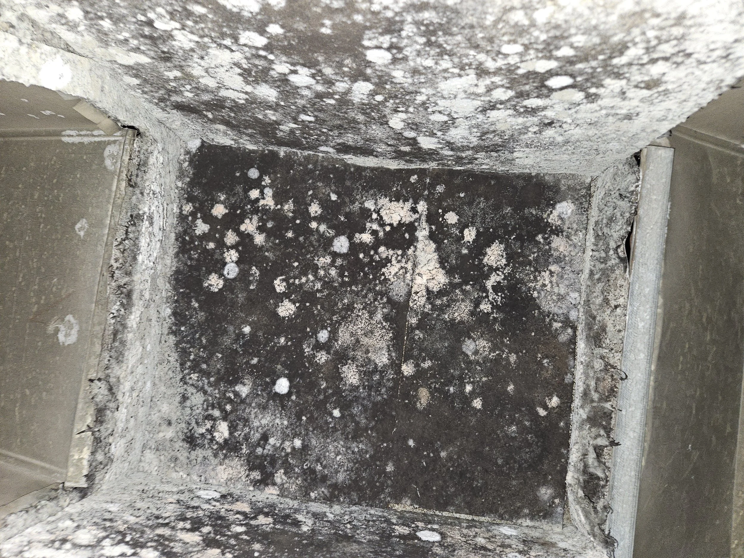 Close-up photo of a small, unused, and dirty metal compartment or hatch with black soot or mold, and white patches of residue or mold on the surface.