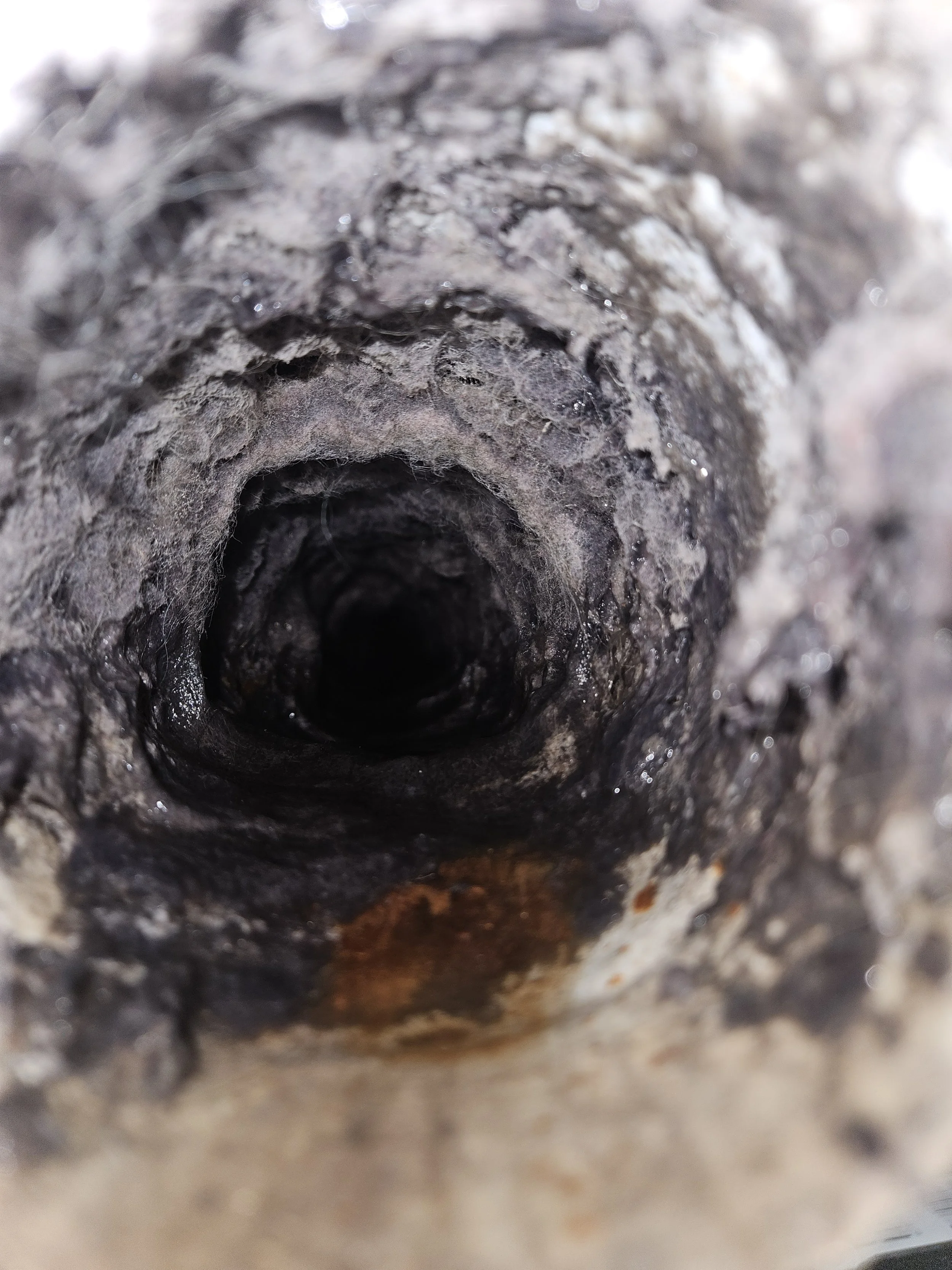 Close-up of a burnt and charred tree trunk with a hollow or cavity in the center.