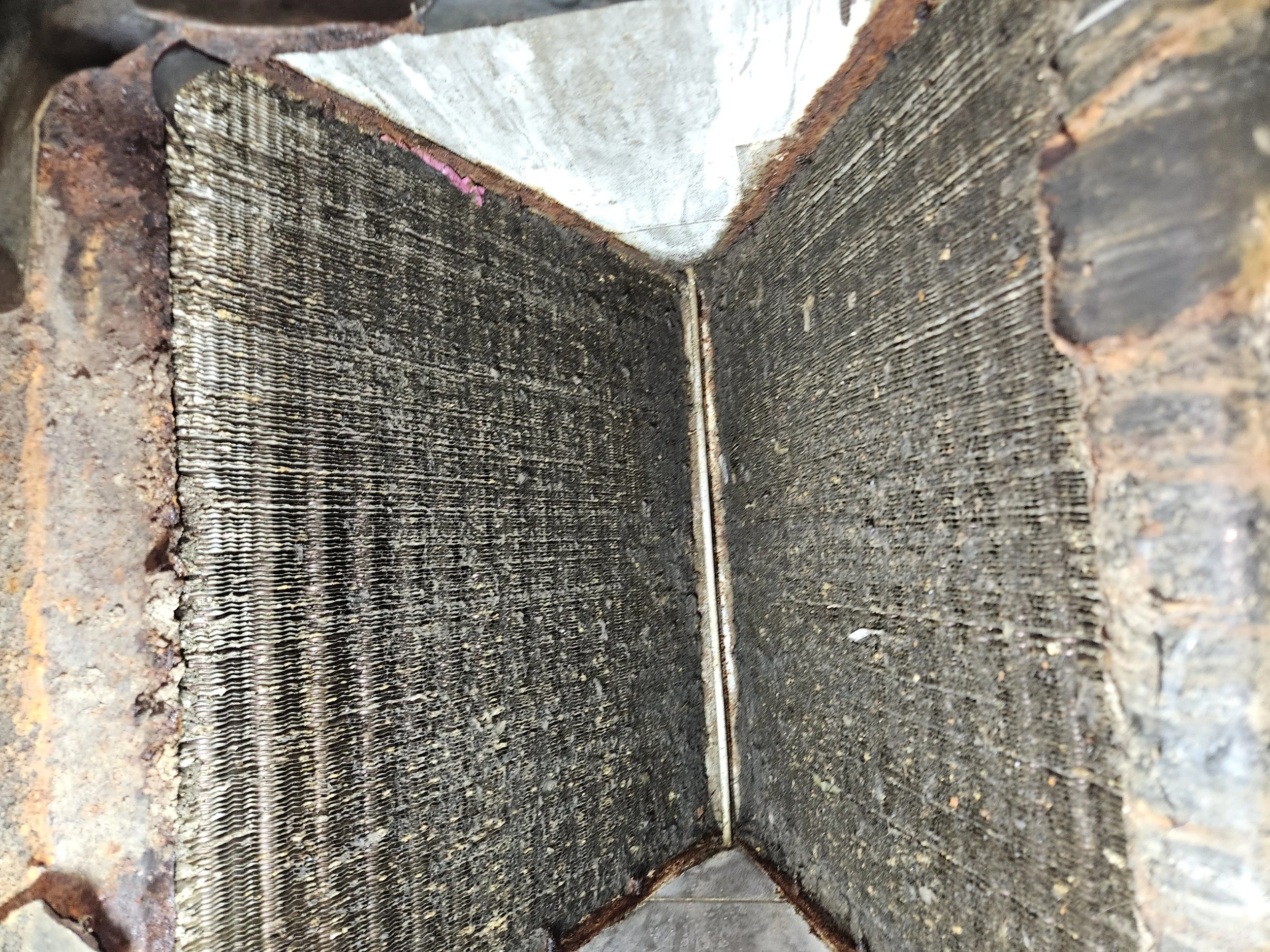 Dirty moldy Ac coils