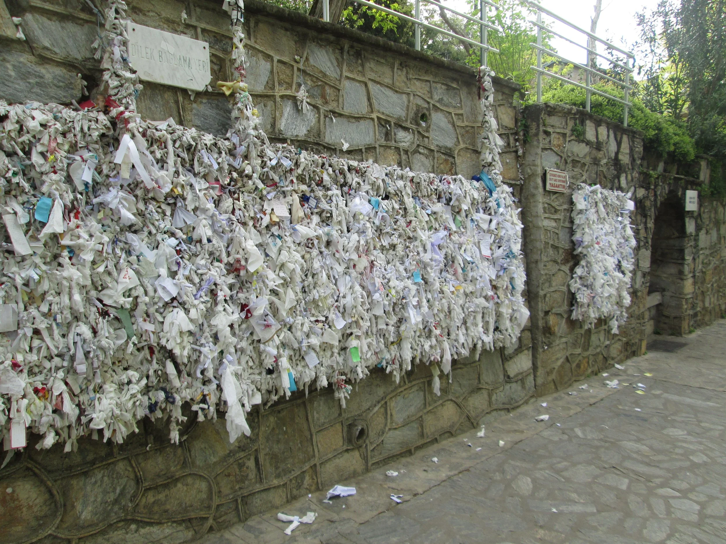 Copy of IMG_2053.JPG