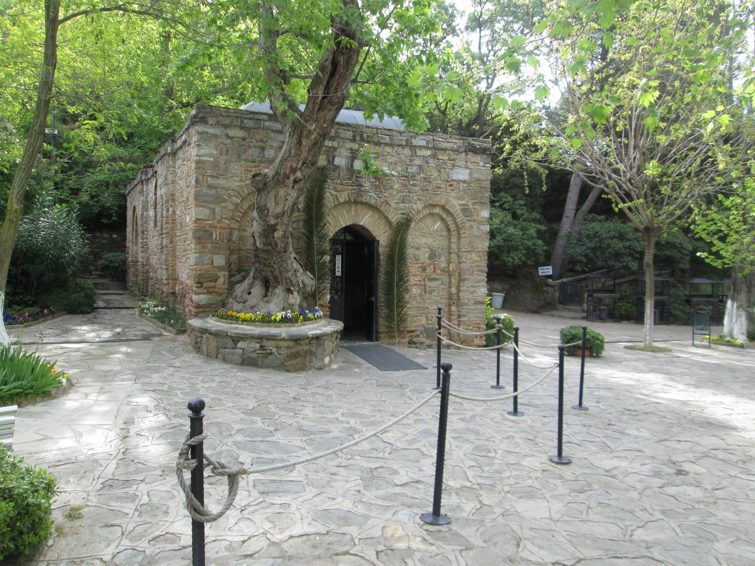 Copy of IMG_2050.JPG