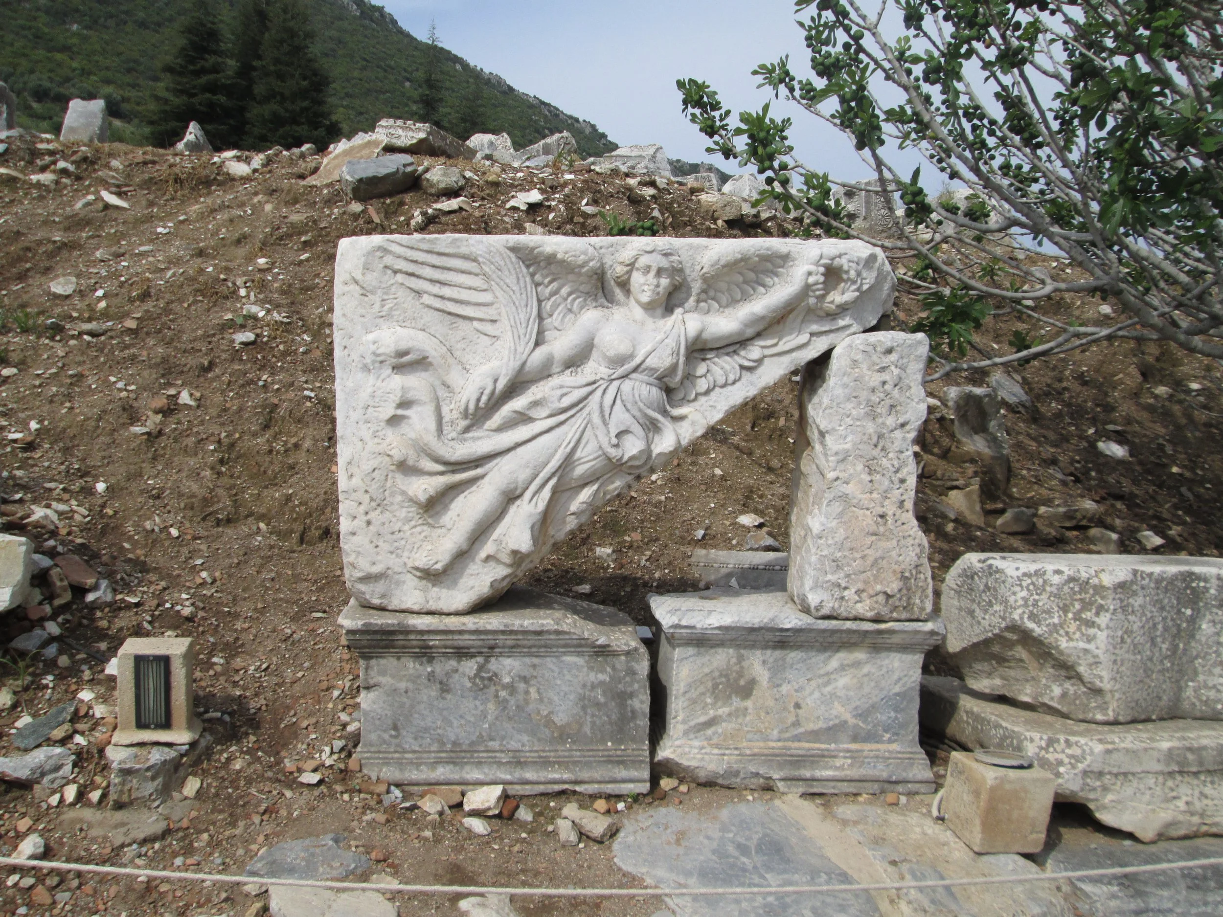 Copy of IMG_2096.JPG