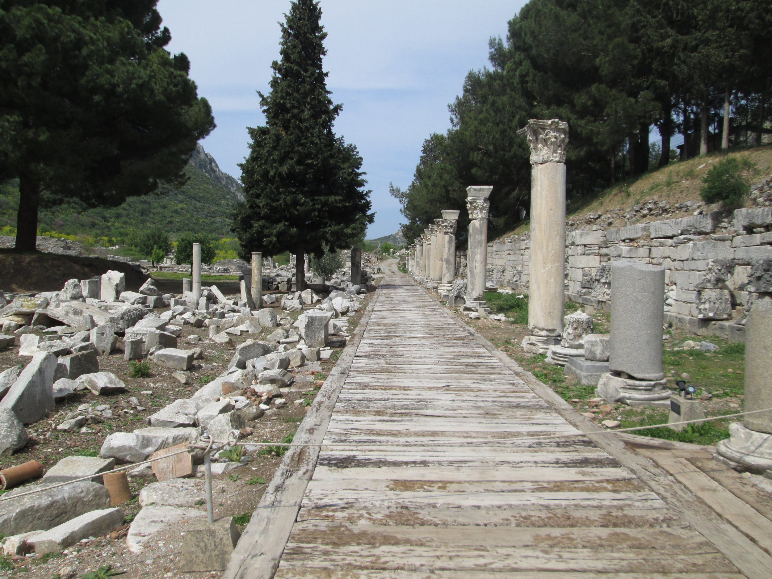 Copy of IMG_2151.JPG