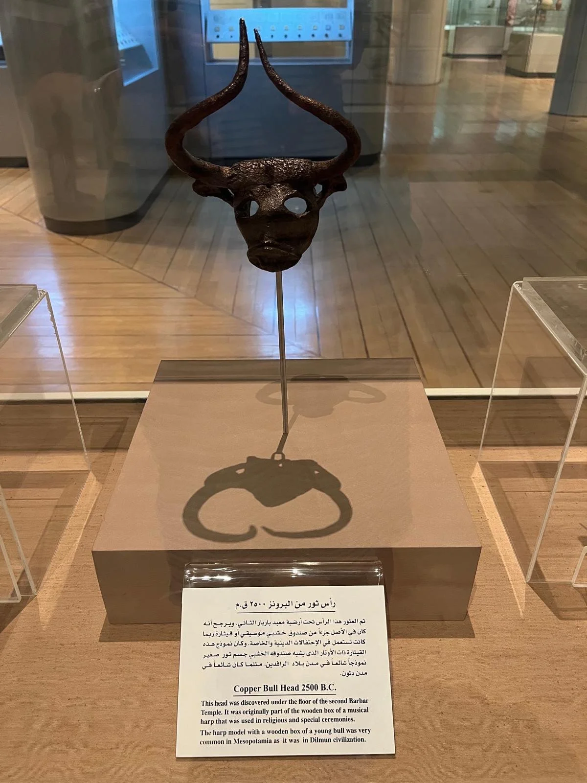 The dark copper bull’s head, with tall curved horns and hollow eye sockets, displayed in a glass case above its museum label.