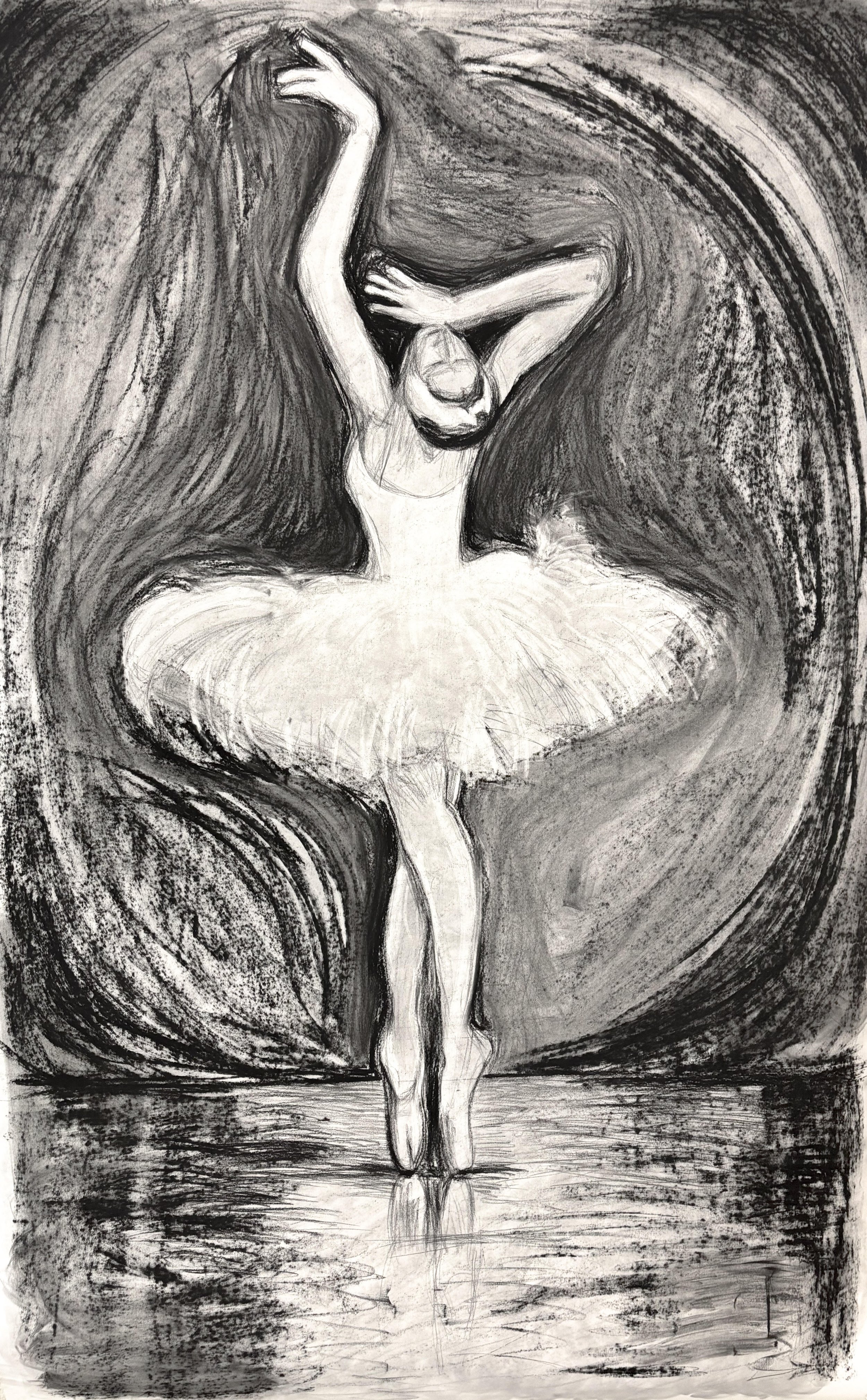 white swan | charcoal, 2025