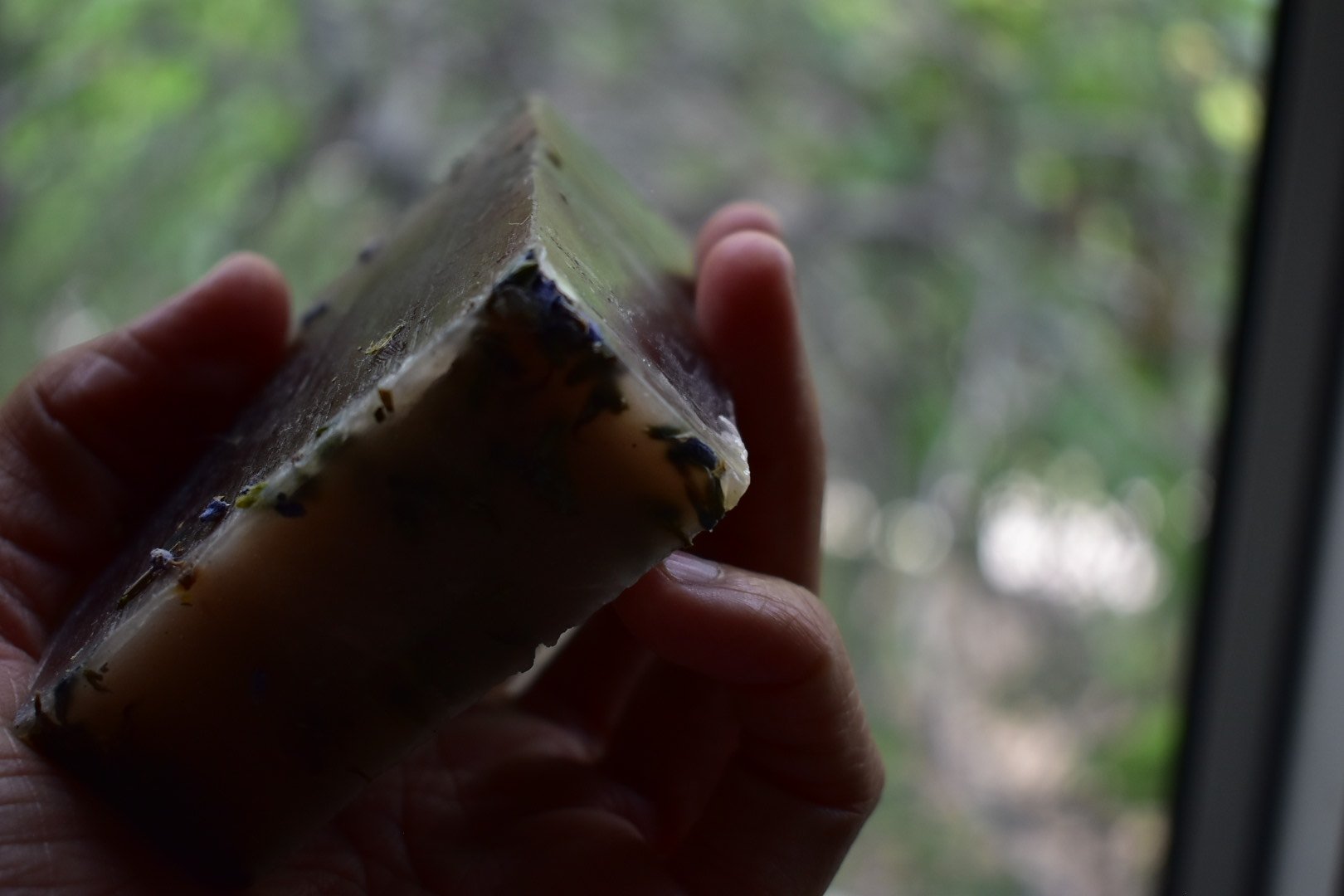 DSC_0345.jpeg