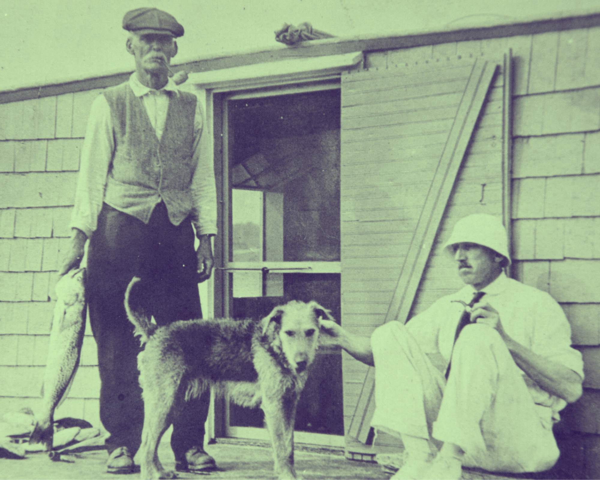 Untitled design-5.png