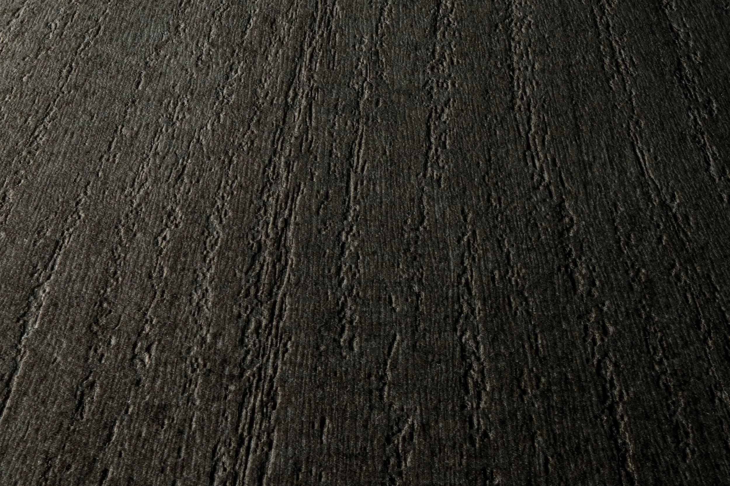 PNLCOMONOGAL01.jpg