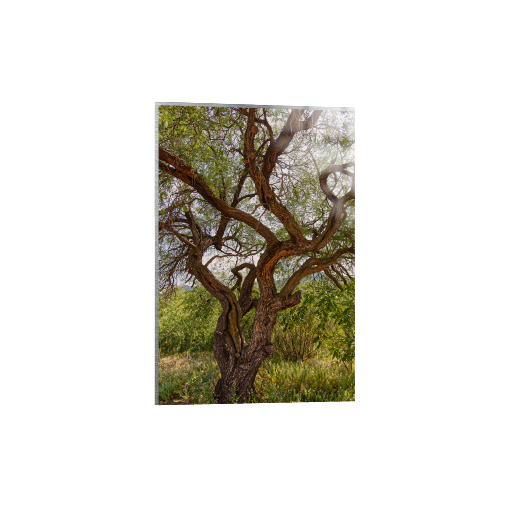ptq_13_3_3_0_4800_7200_0_false_ffffff_0_0_.png