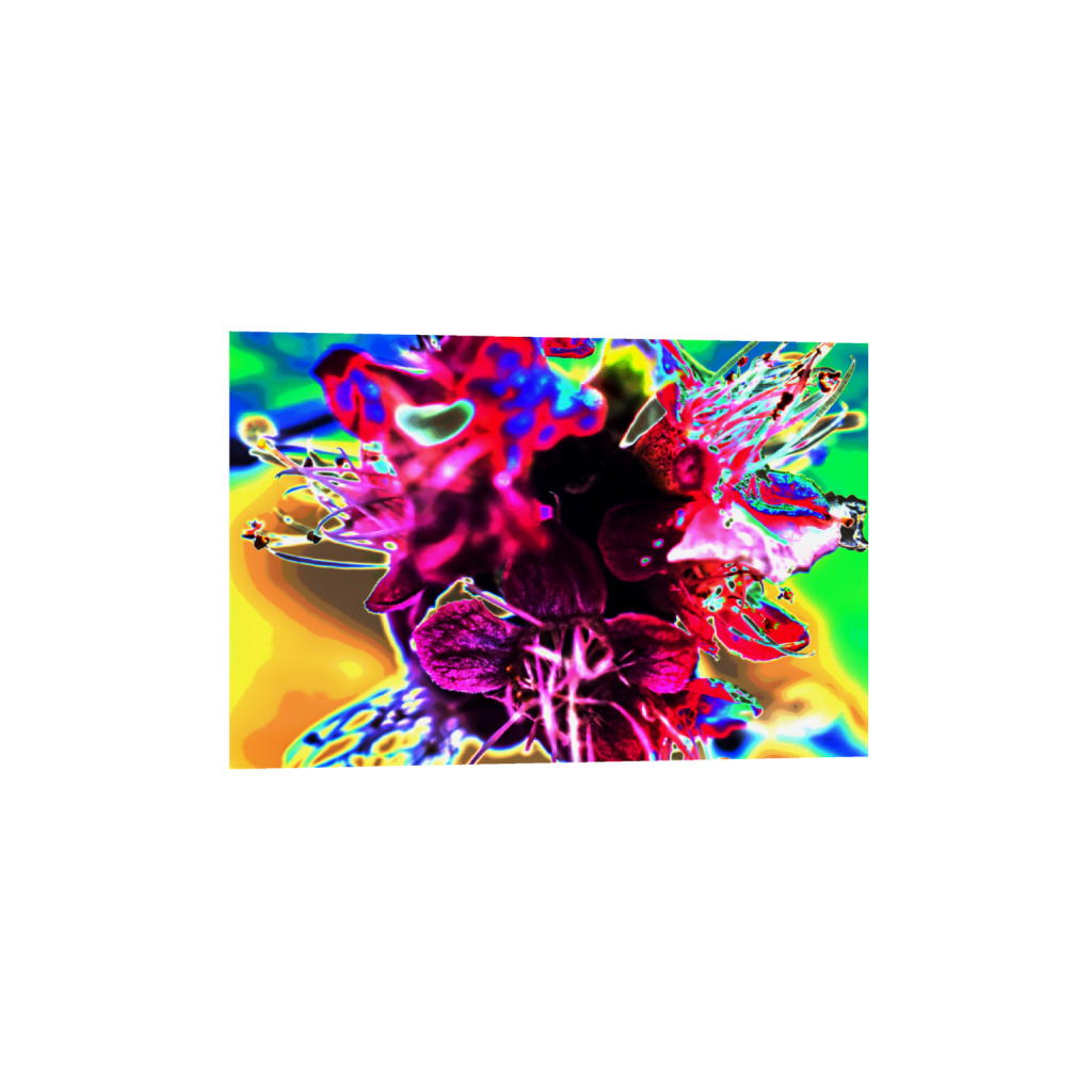 ptq_1_3_0_334_3741_2494_0_false_ffffff_0_0_.png