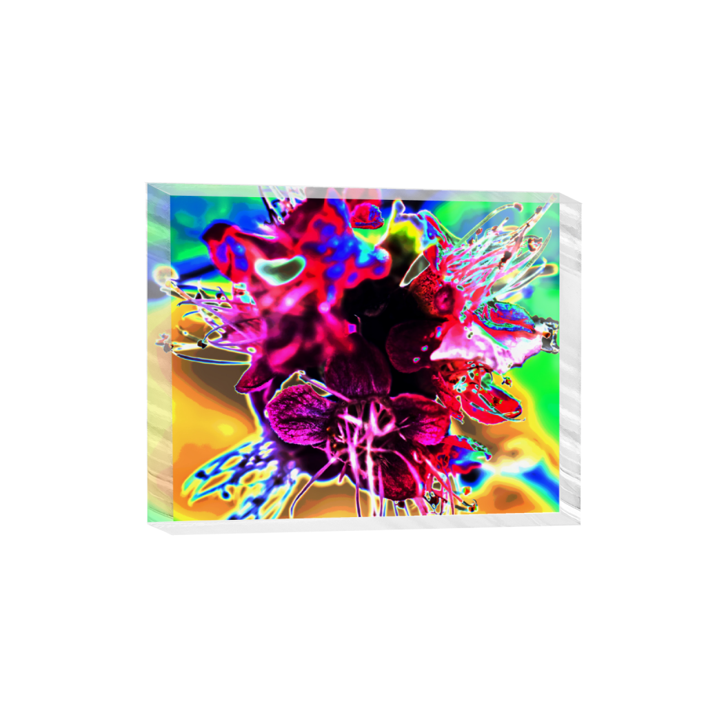 ptq_300_6_0_84_3741_2992_0_false_ffffff_0_0_.png