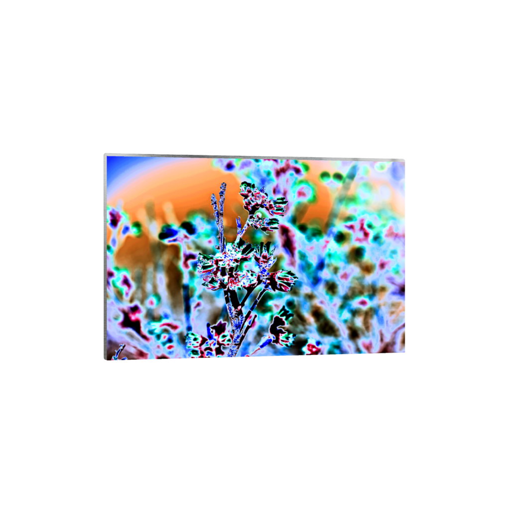 ptq_13_3_0_2_6016_4010_0_false_ffffff_0_0_.png