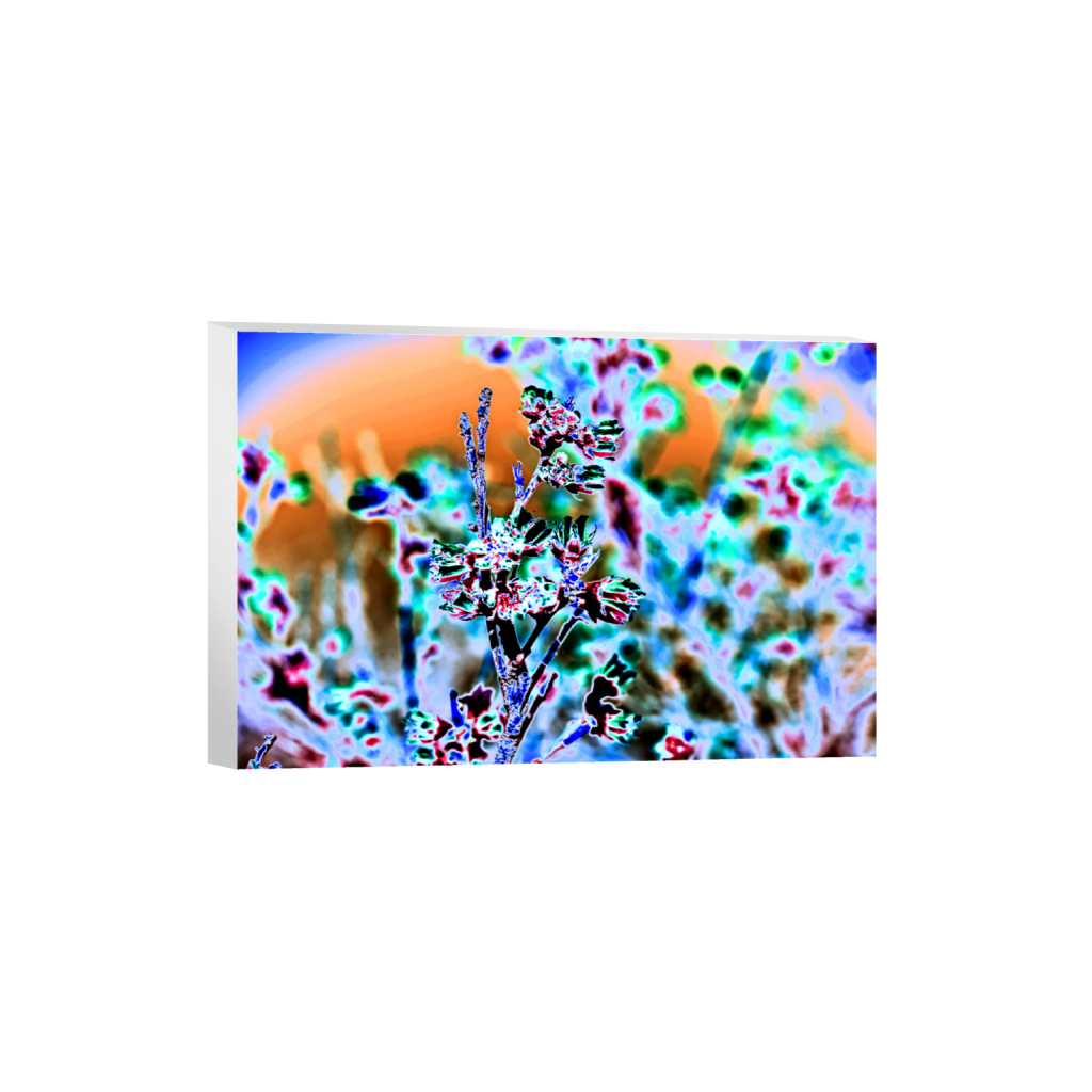 ptq_7_3_0_2_6016_4010_0_false_ffffff_0_0_.png