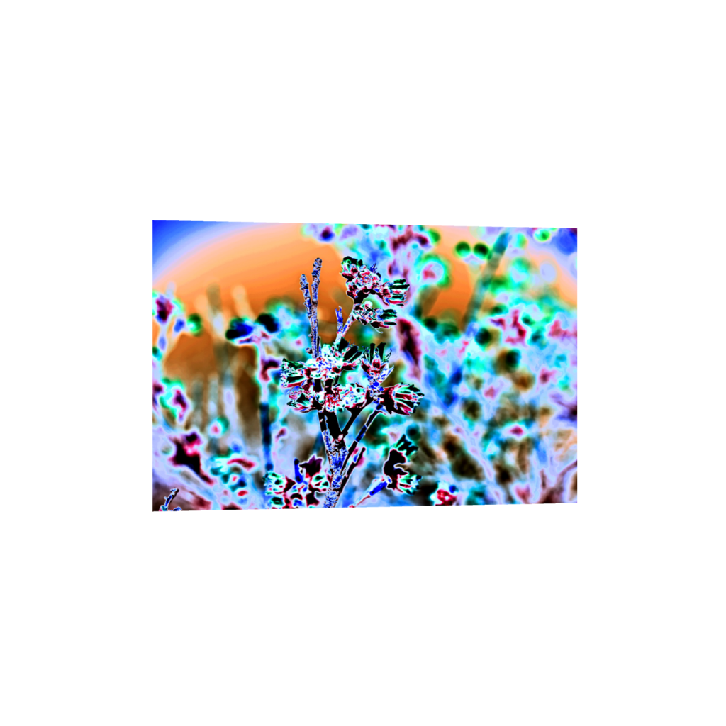 ptq_34_3_0_2_6016_4010_0_false_ffffff_0_0_.png