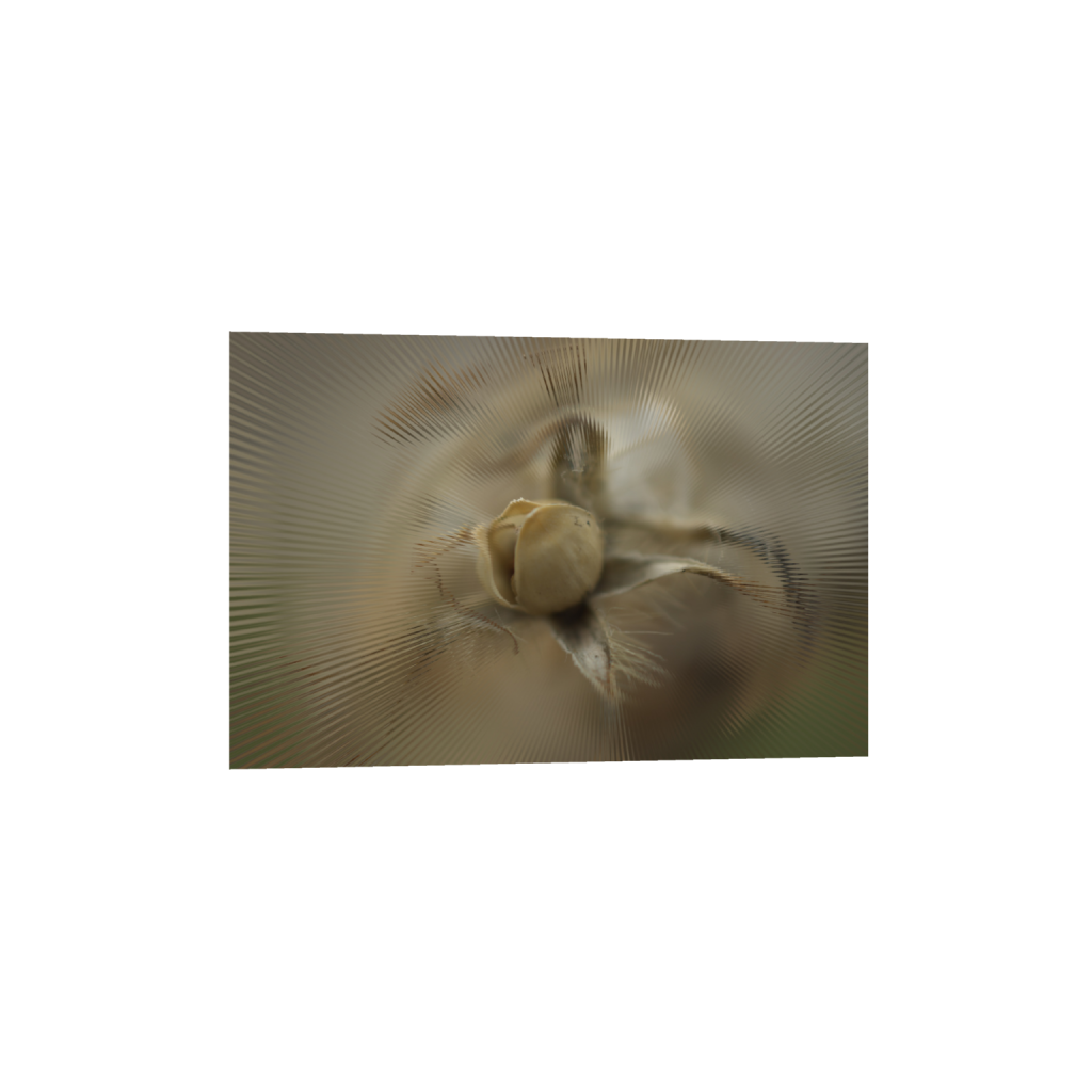 ptq_1_3_0_2_6016_4010_0_false_ffffff_0_0_.png