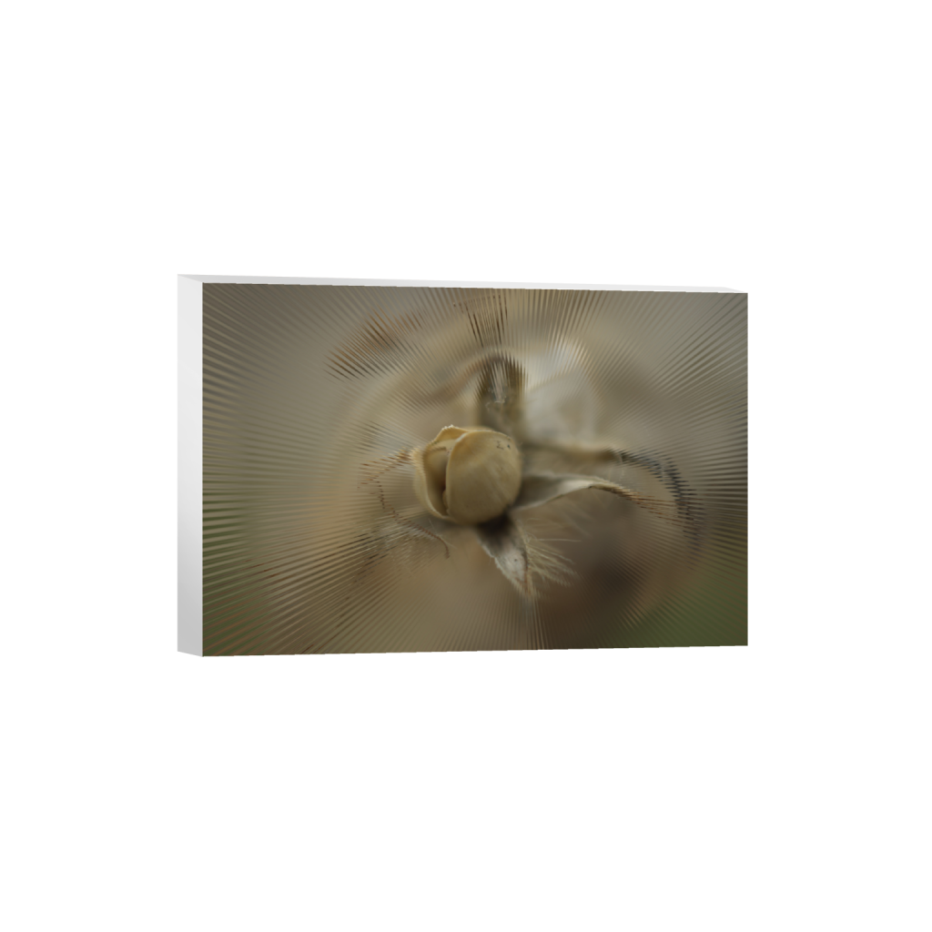 ptq_7_3_0_2_6016_4010_0_false_ffffff_0_0_.png