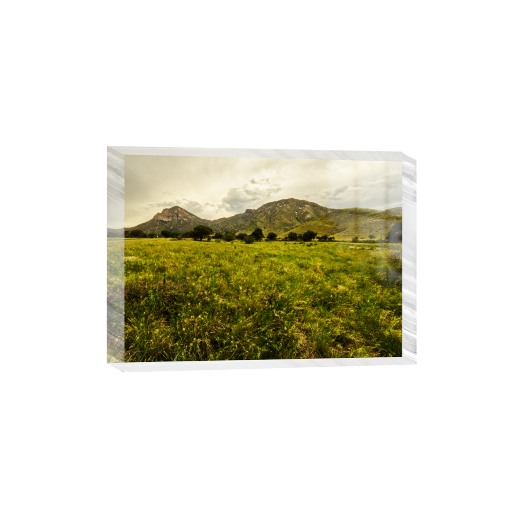 ptq_300_7_120_0_5460_3900_0_false_ffffff_0_0_.png