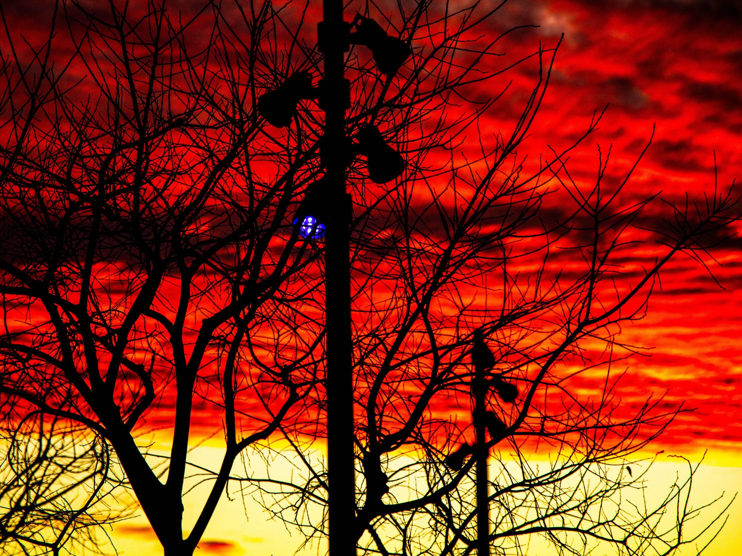 Under a Blood Red Sky