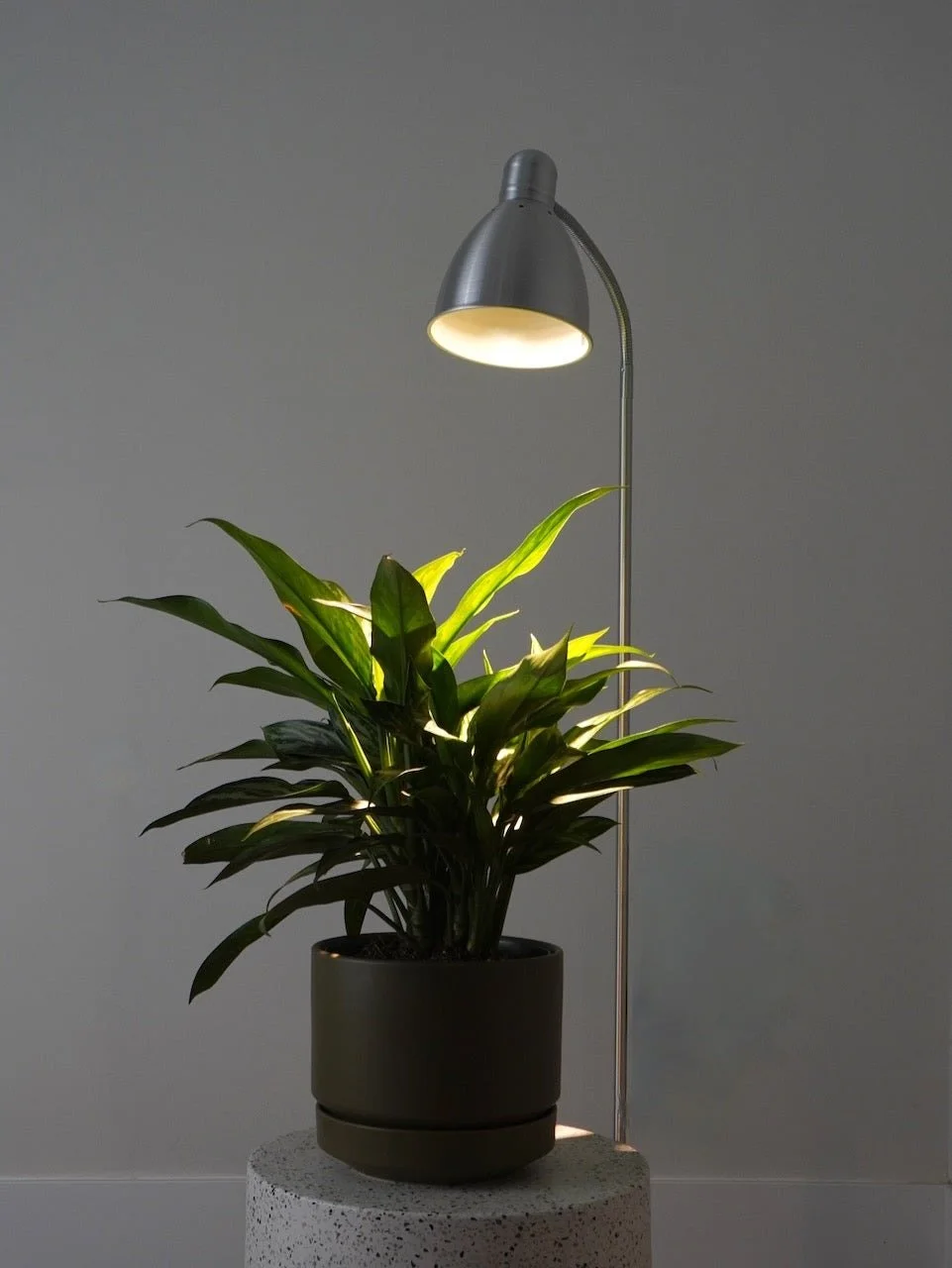 Instant_Sun_Grow_Light_Bulb_buy_online_Soul_Collective.jpg