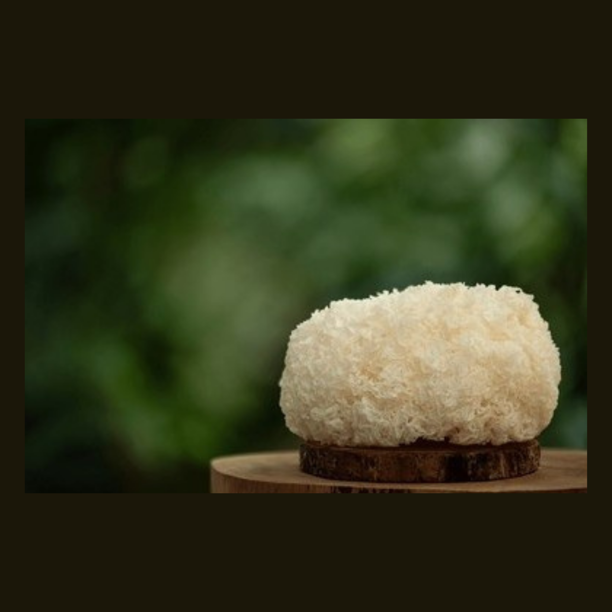Shii_Zen_Plus_Supreme_Shrooms_Soul_Collective_tremella.png (Copy)