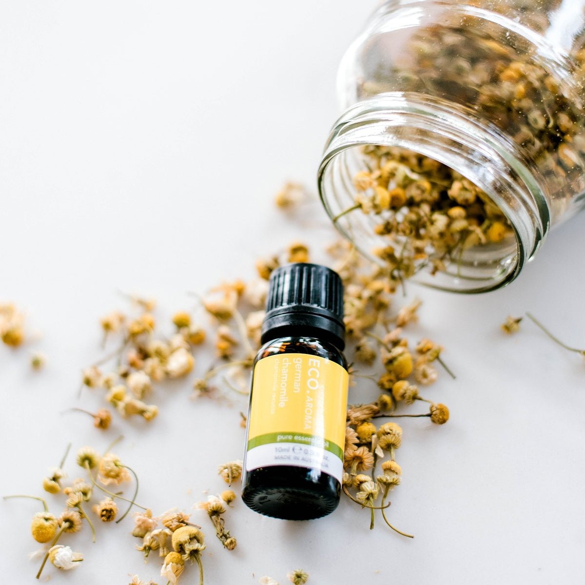 Chamomile_Pure_Oil_ECO_Modern_Essential_Oils_Soul_Collective_buy_online.jpg