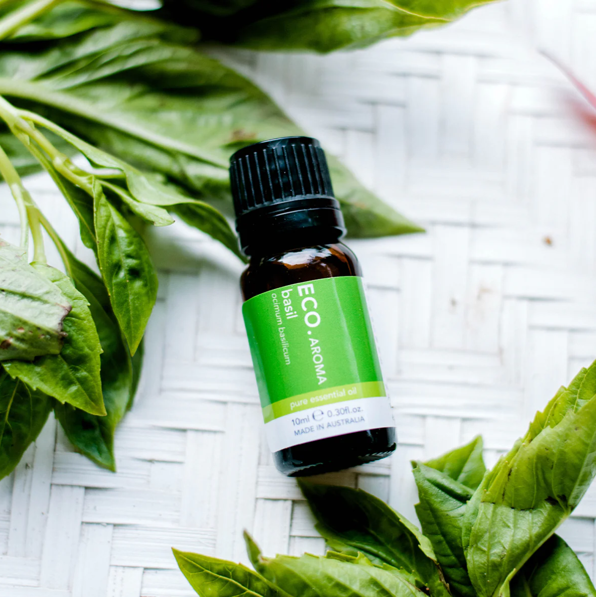 Basil_Eco_Essential_Oils_Soul_Collective_Australian_Made_Herb_Aromatherapy.png
