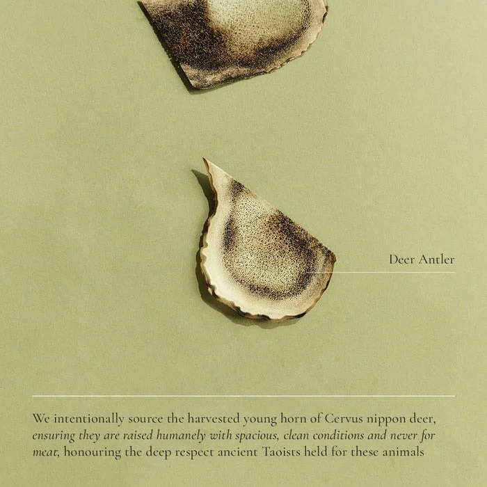 Deer_Antler_Superfeast_Ingredients_Respect_Soul_Collective_Perth_WA.jpg