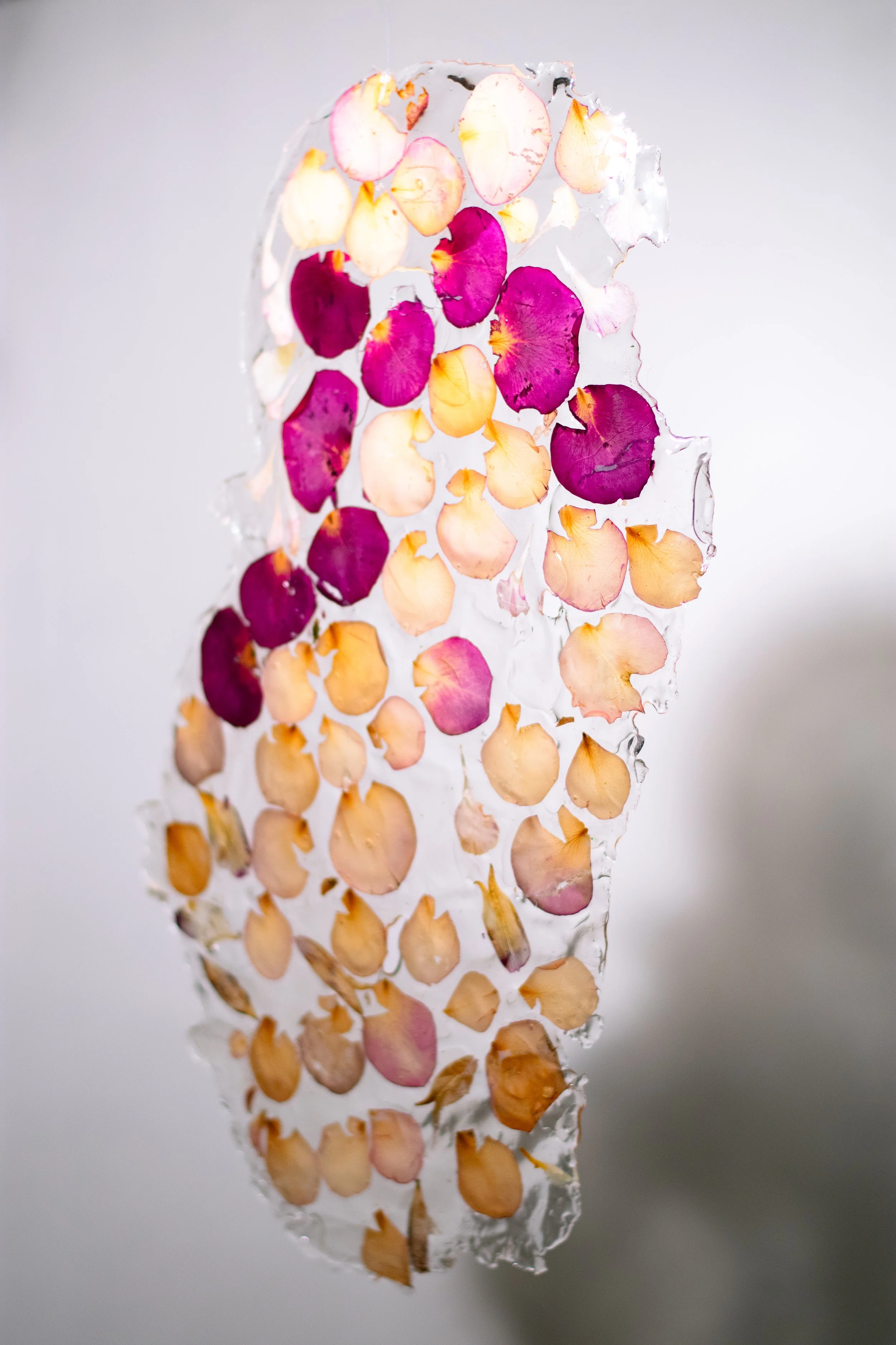 PetalNew-136.jpg