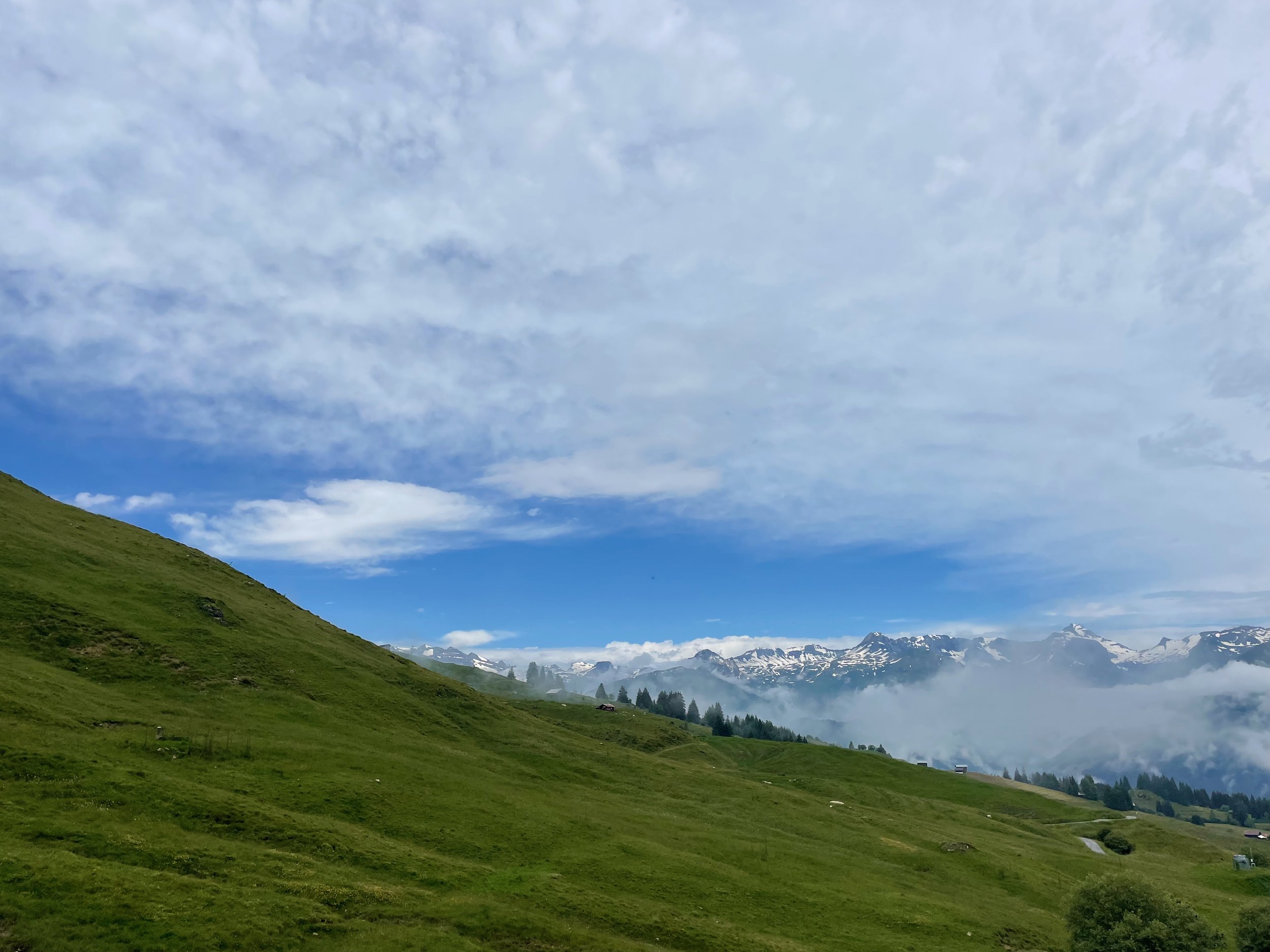 IMG_0472.jpeg