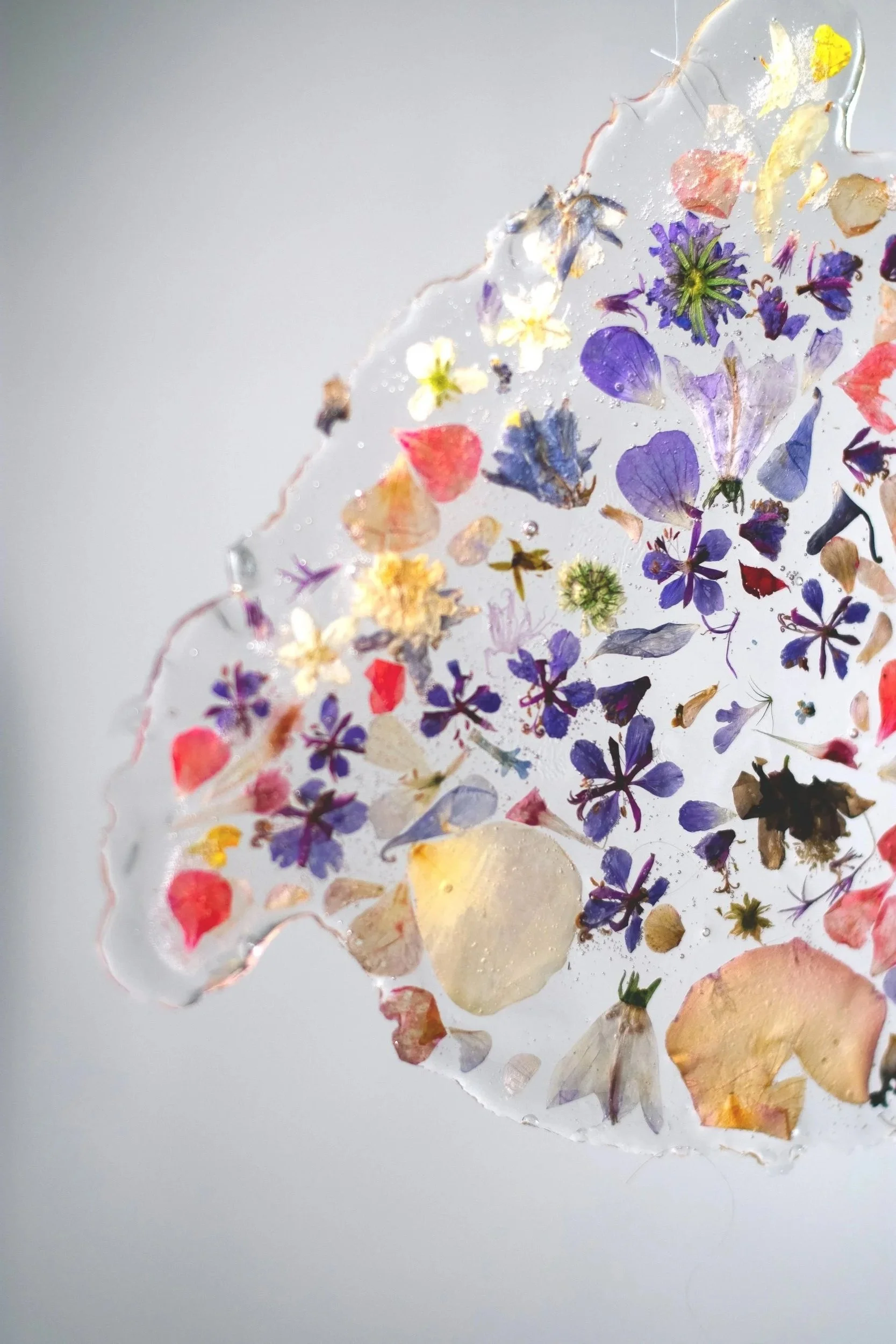 PetalNew-103.jpg