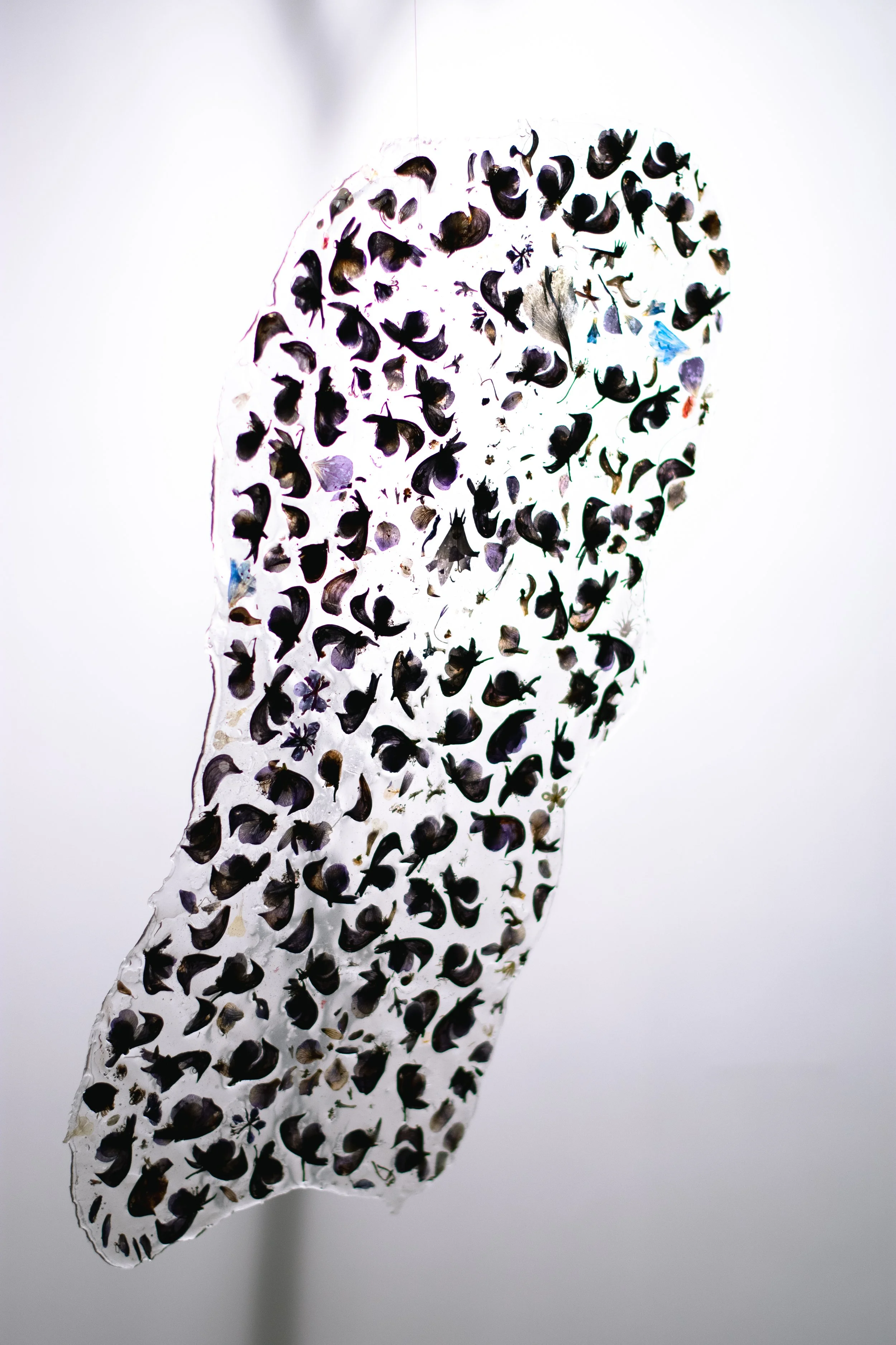 PetalNew-150.jpg