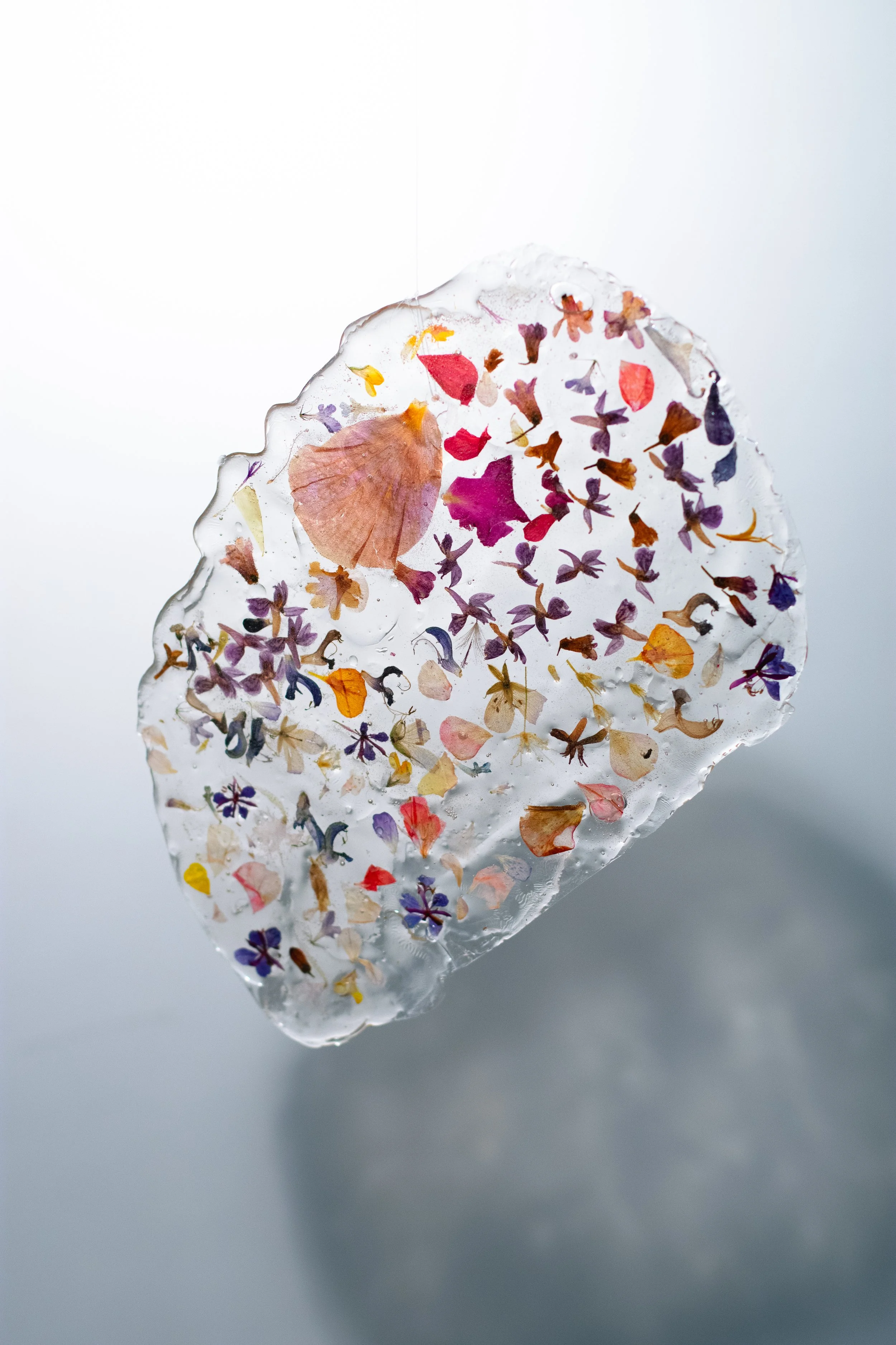 PetalNew-069.jpg
