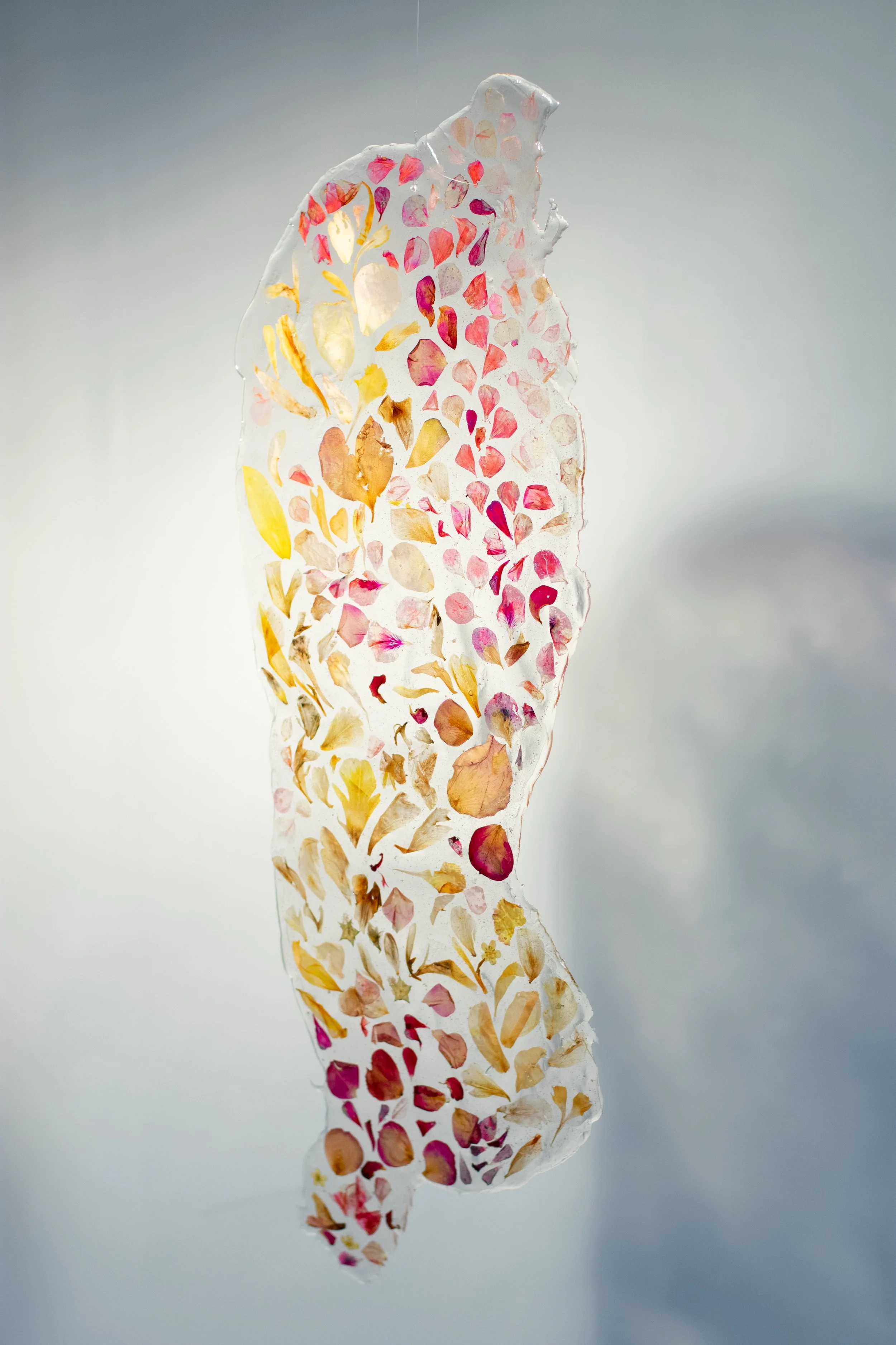 Petals-008.jpg