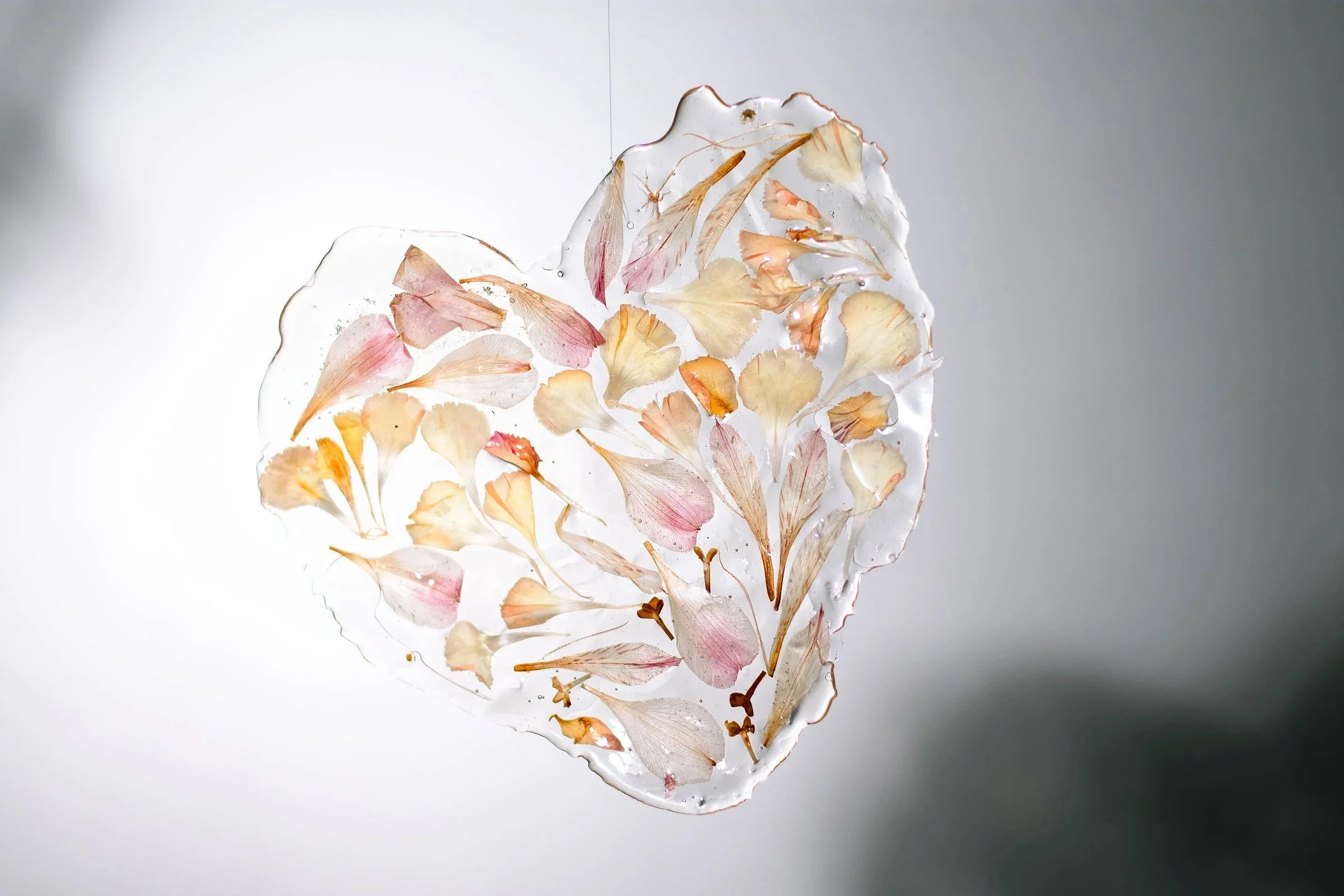 PetalNew-111.jpg