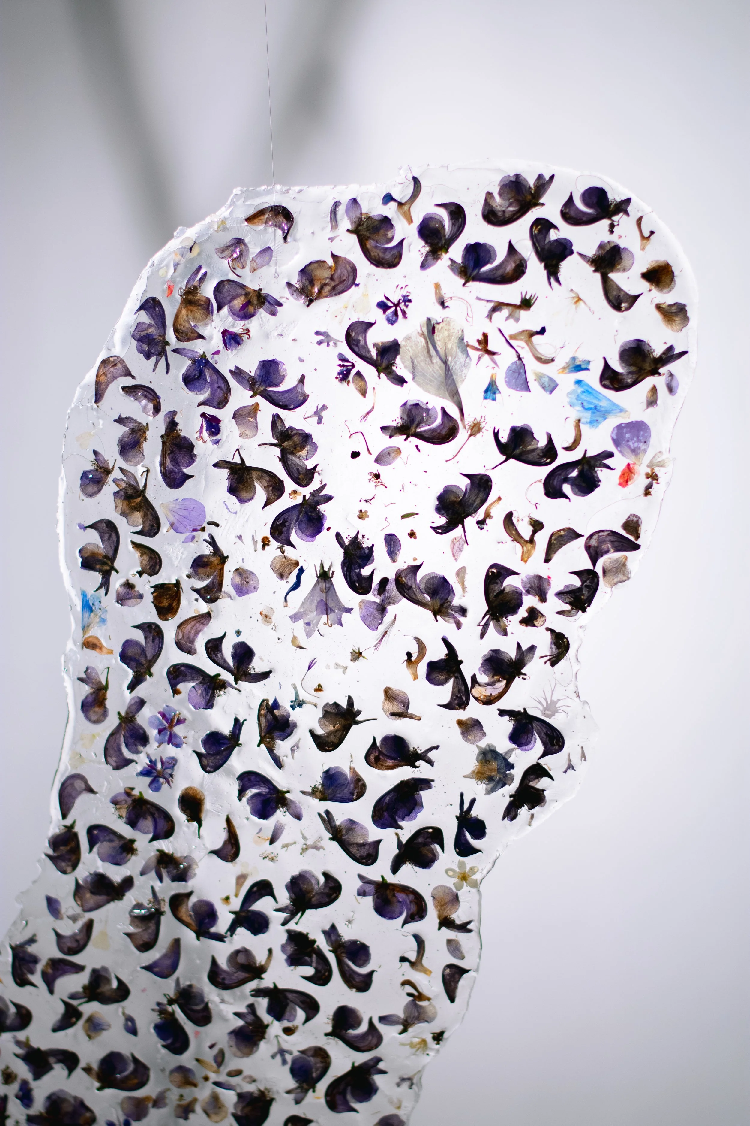 PetalNew-146.jpg