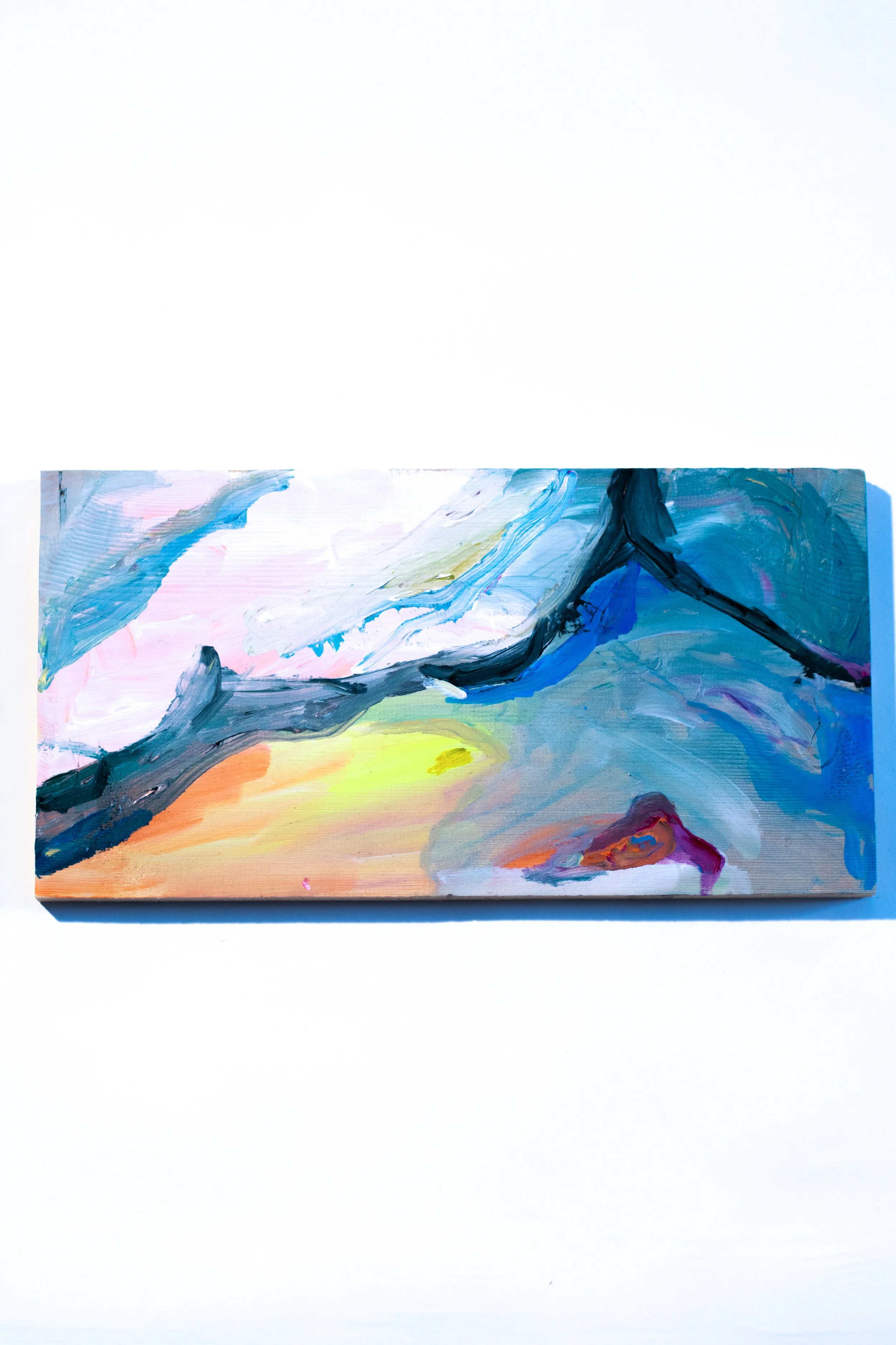 Summer mountains
(2025)