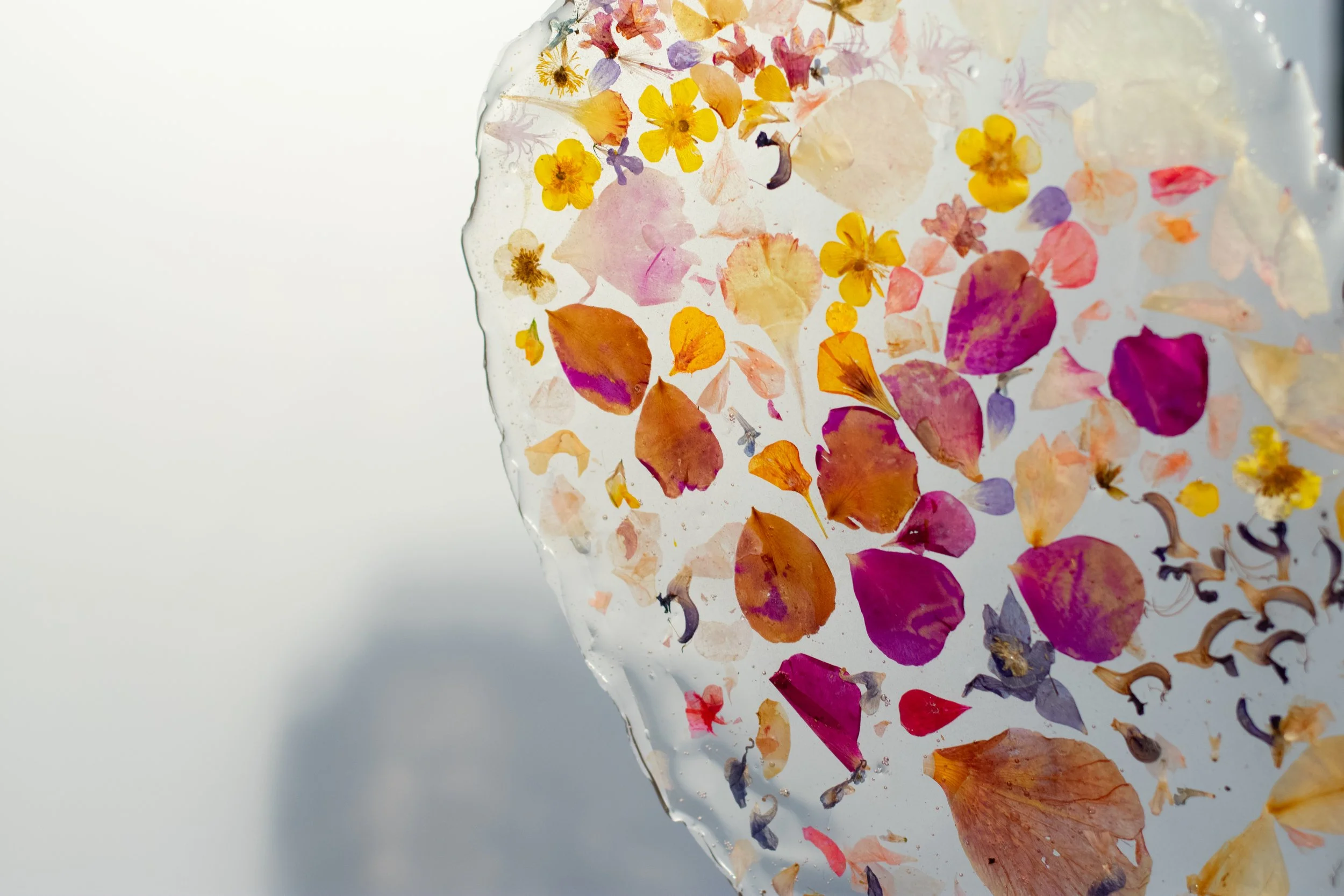 Petals-055.jpg