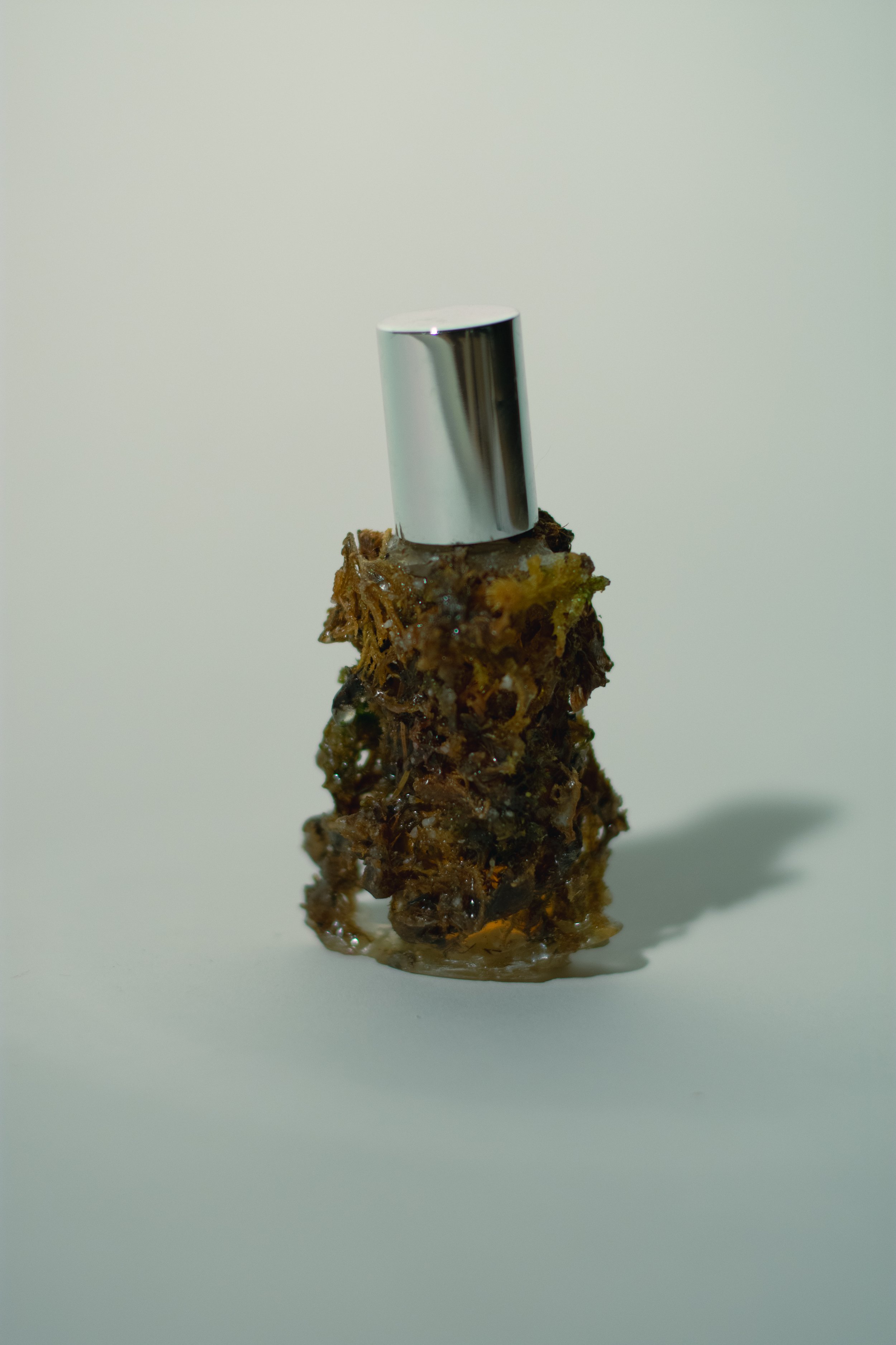 Scent of the Acaulis Glitch Creature