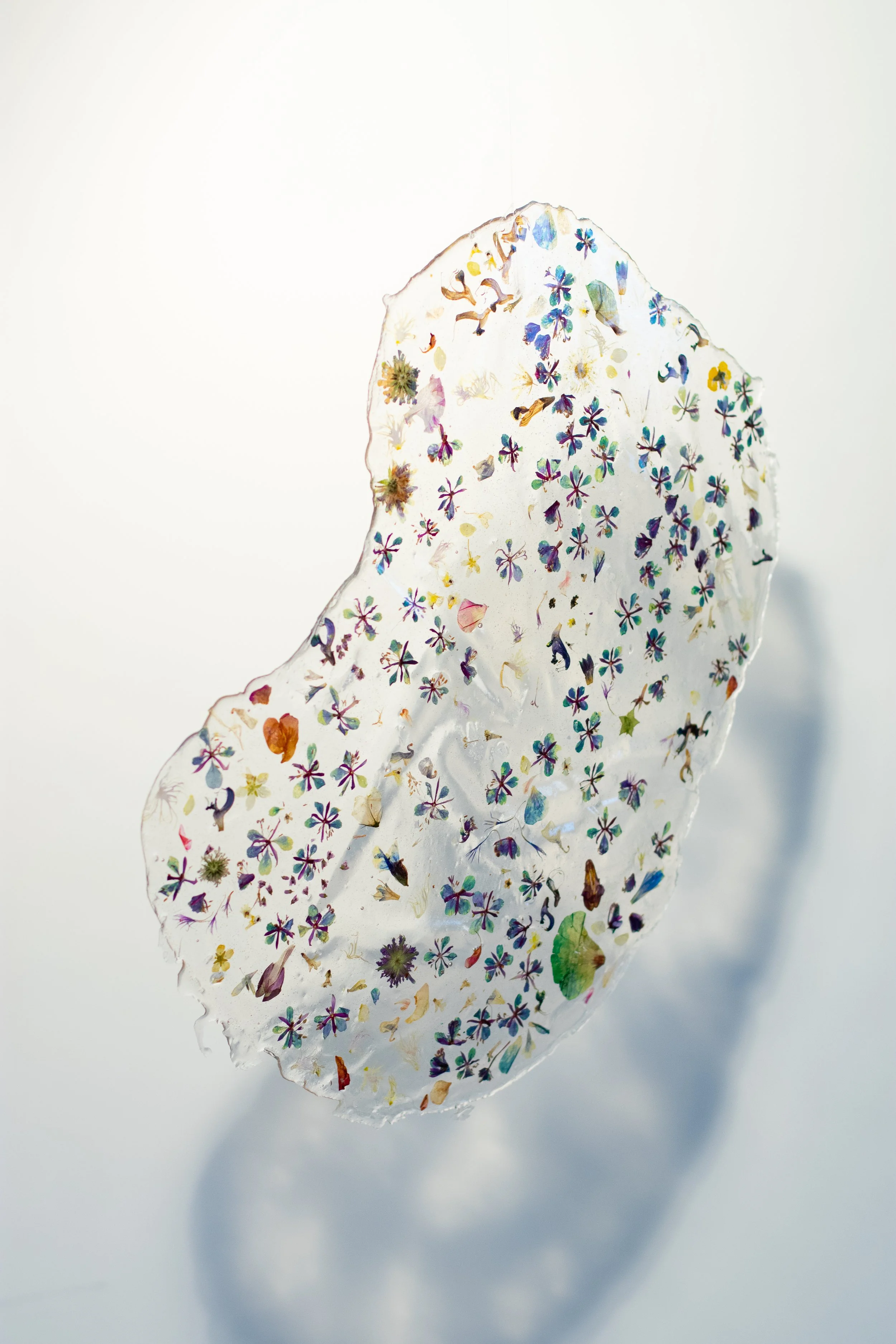 PetalNew-023.jpg