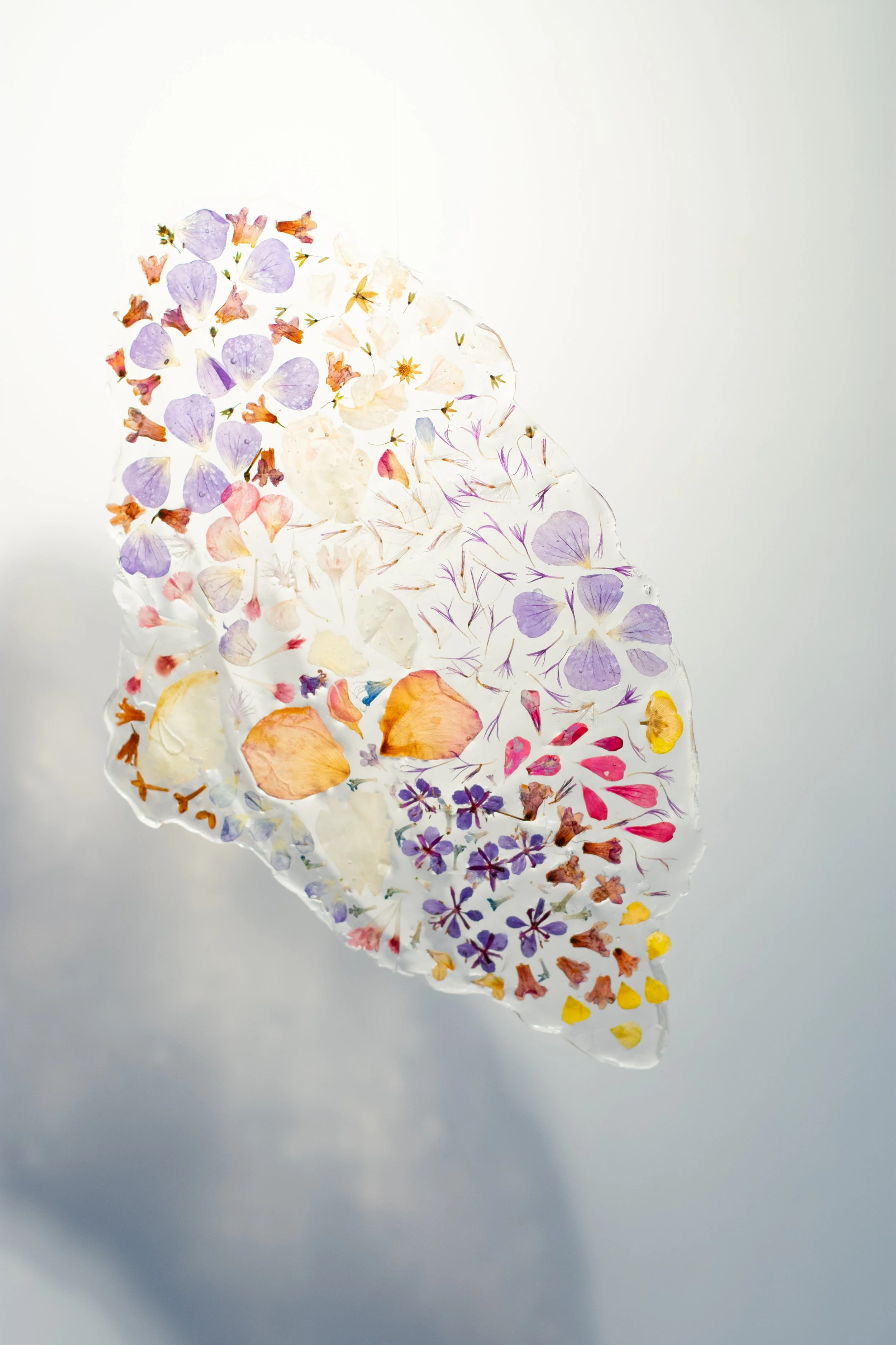 Petals-042.jpg